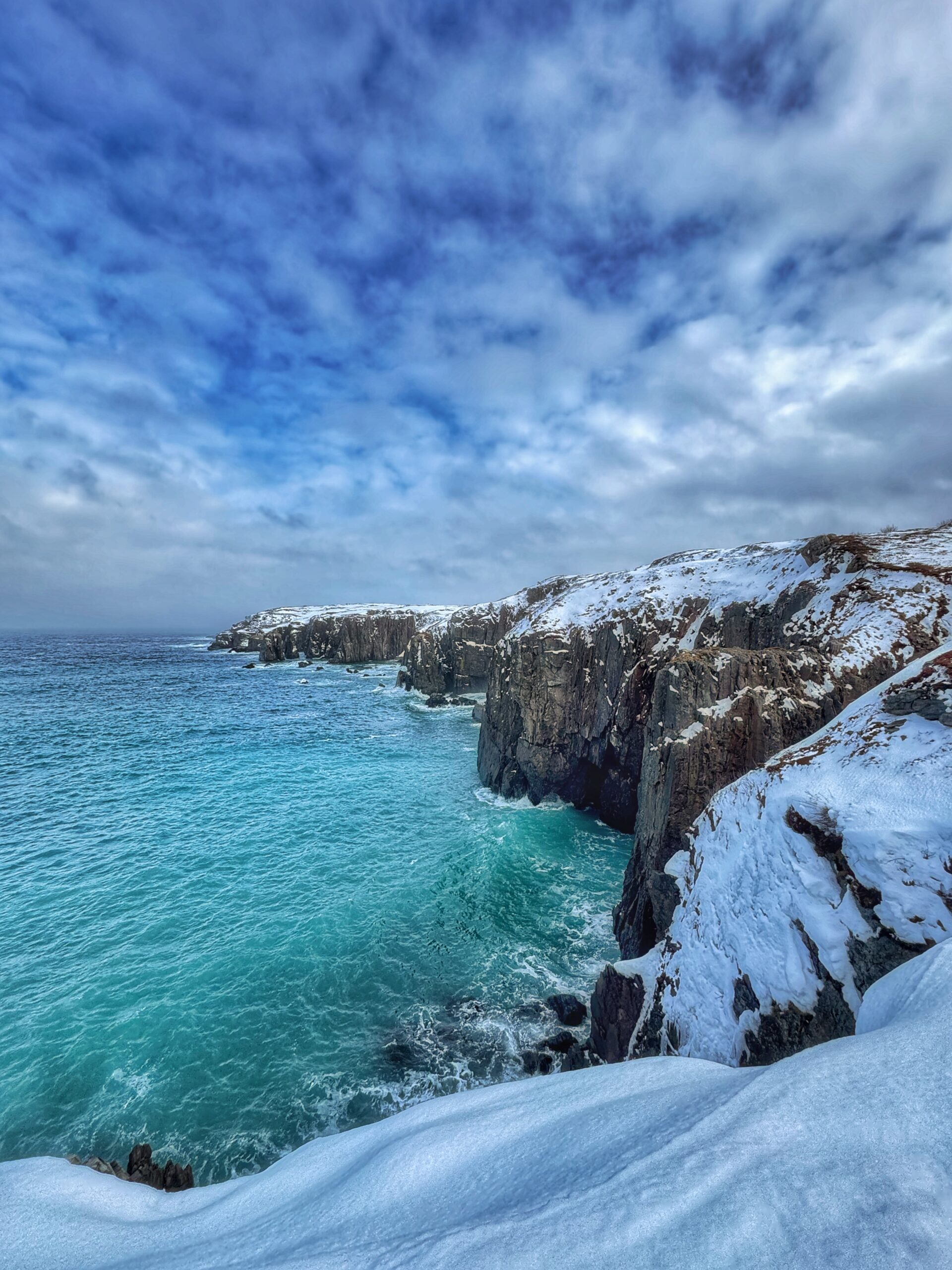 Main Gallery Display