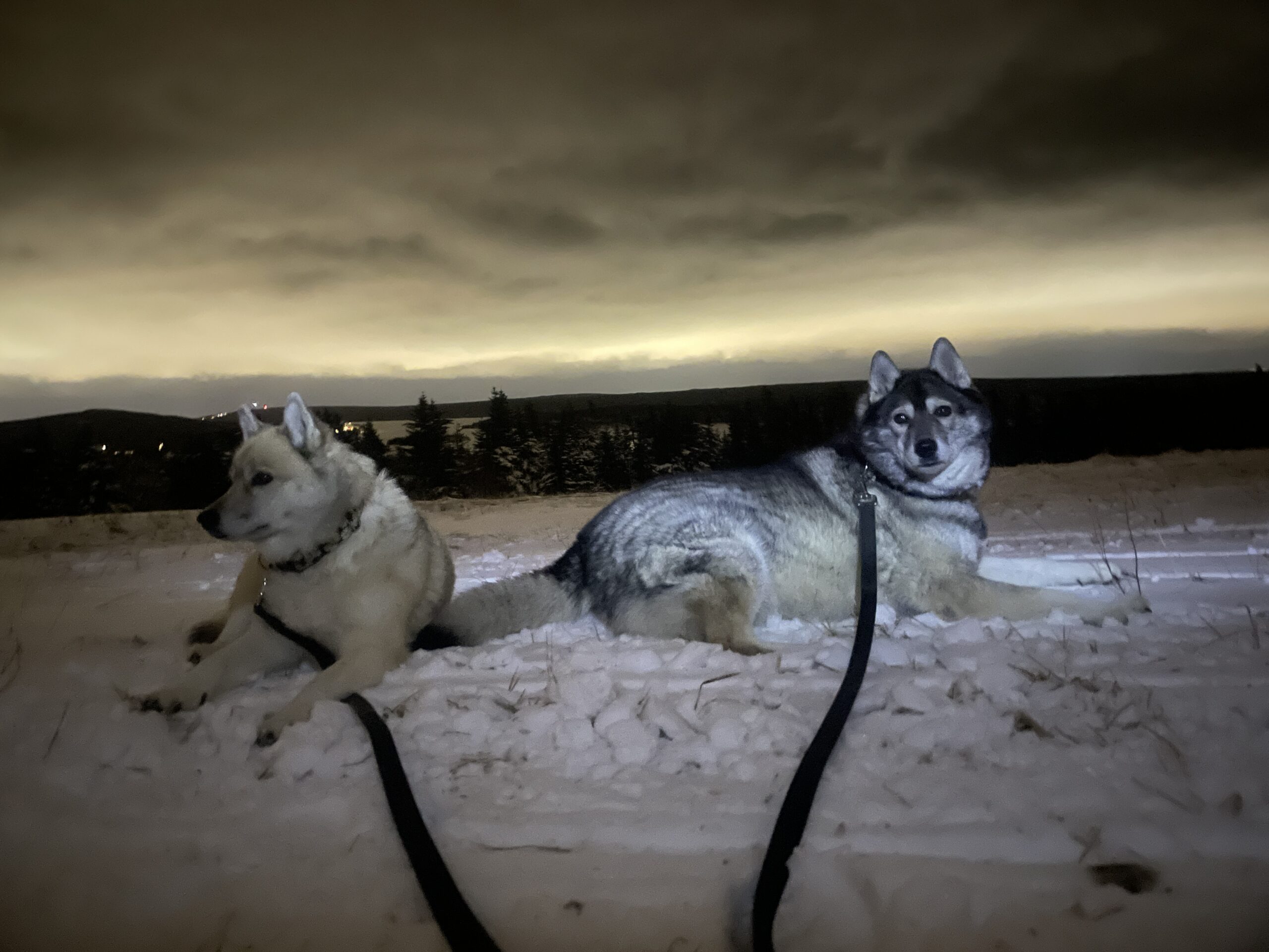 Main Gallery Display