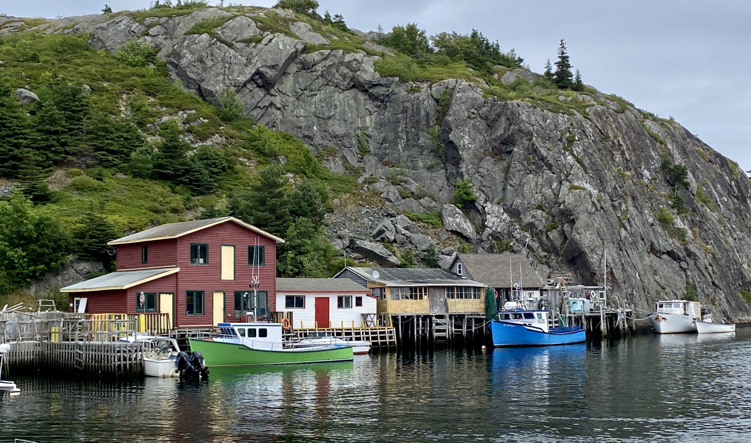 Main Gallery Display