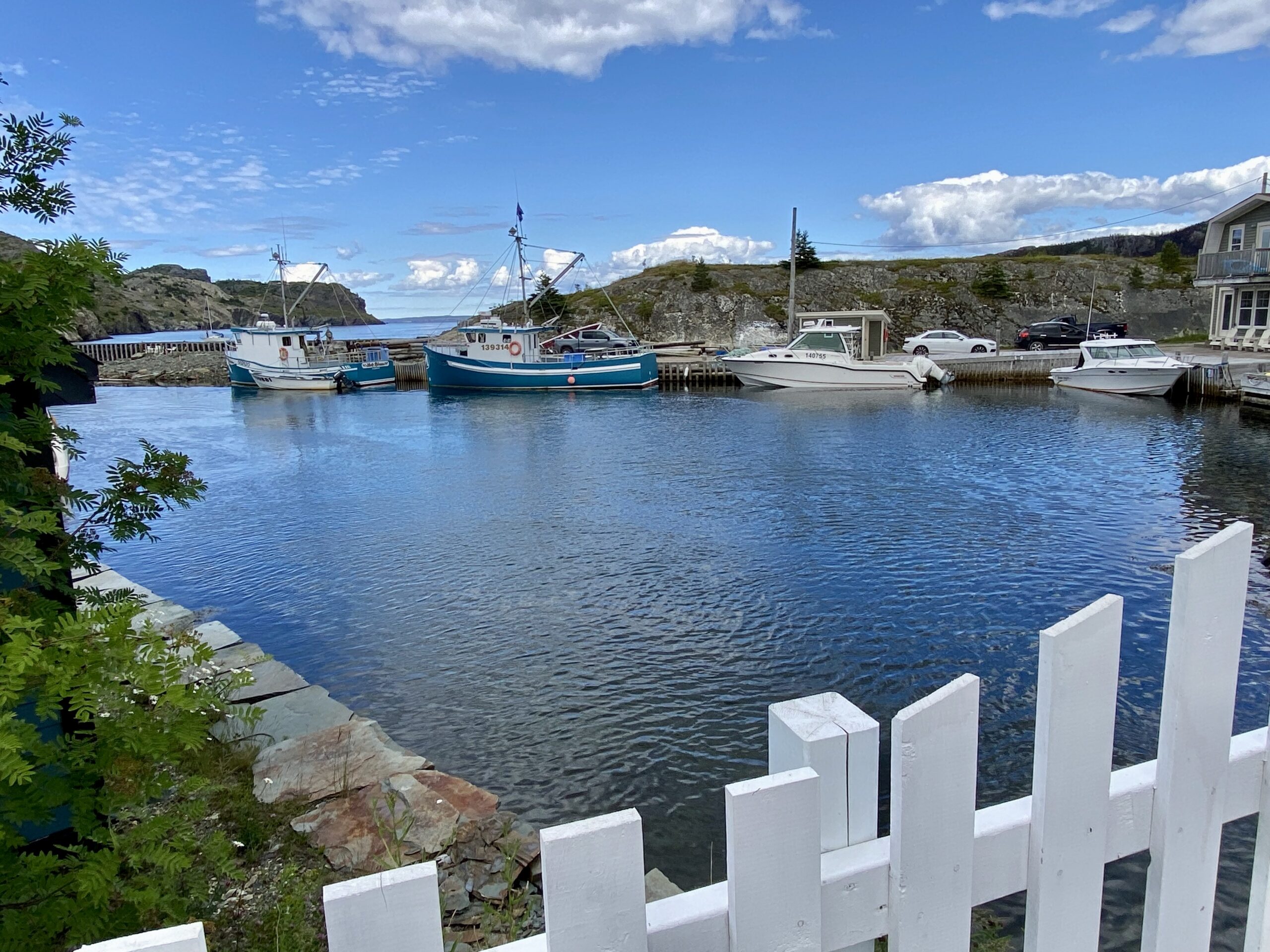 Main Gallery Display