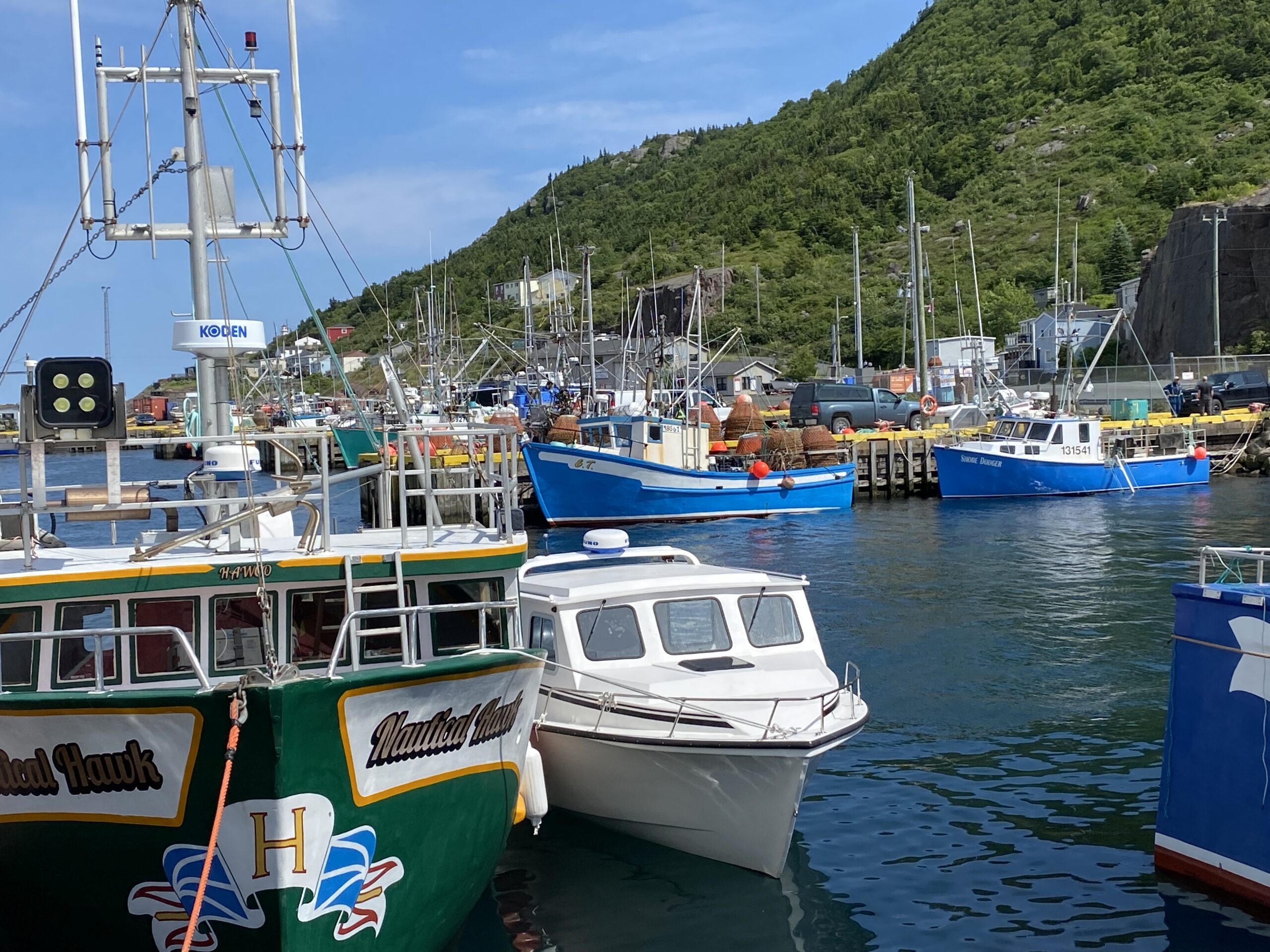 Main Gallery Display