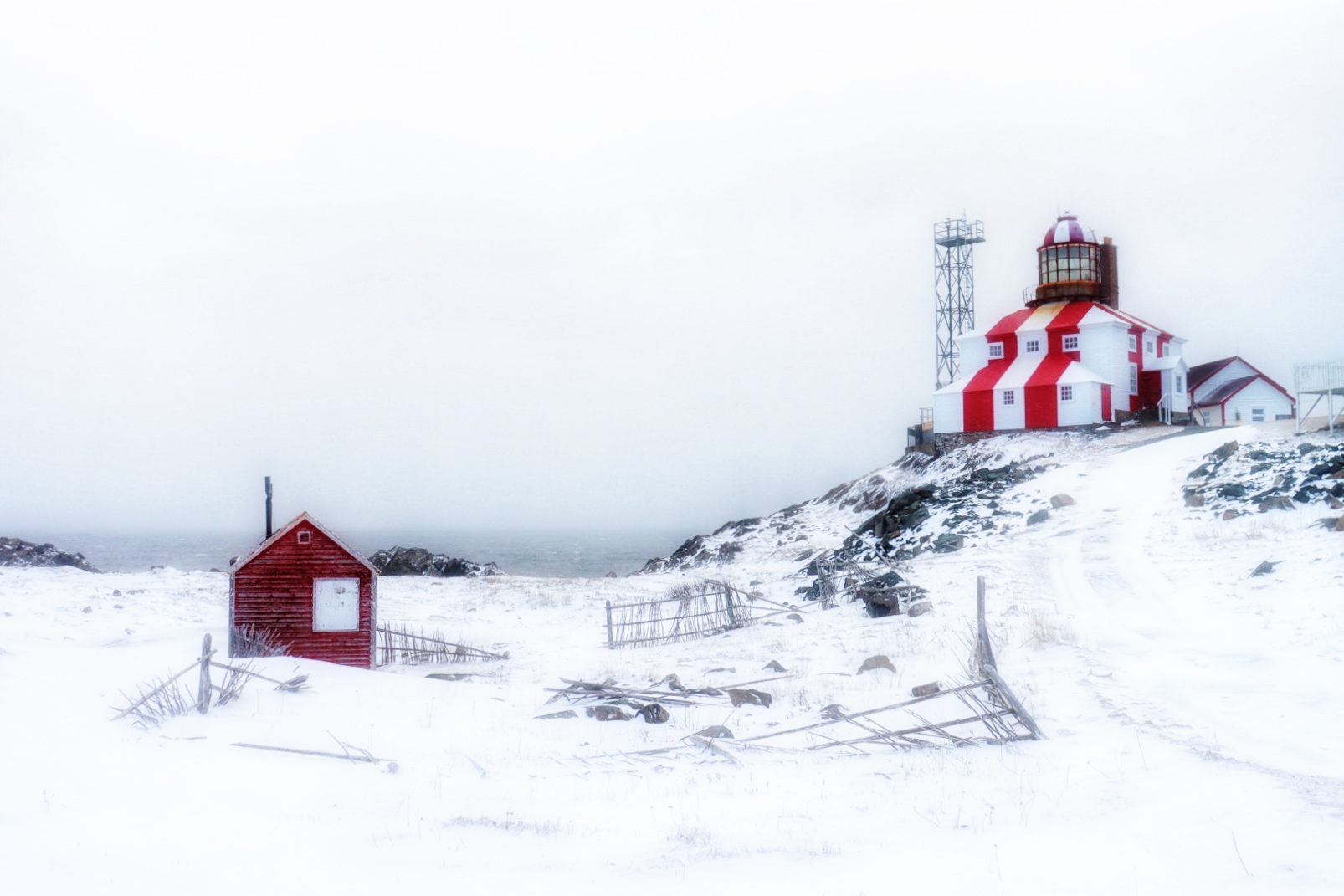 Main Gallery Display