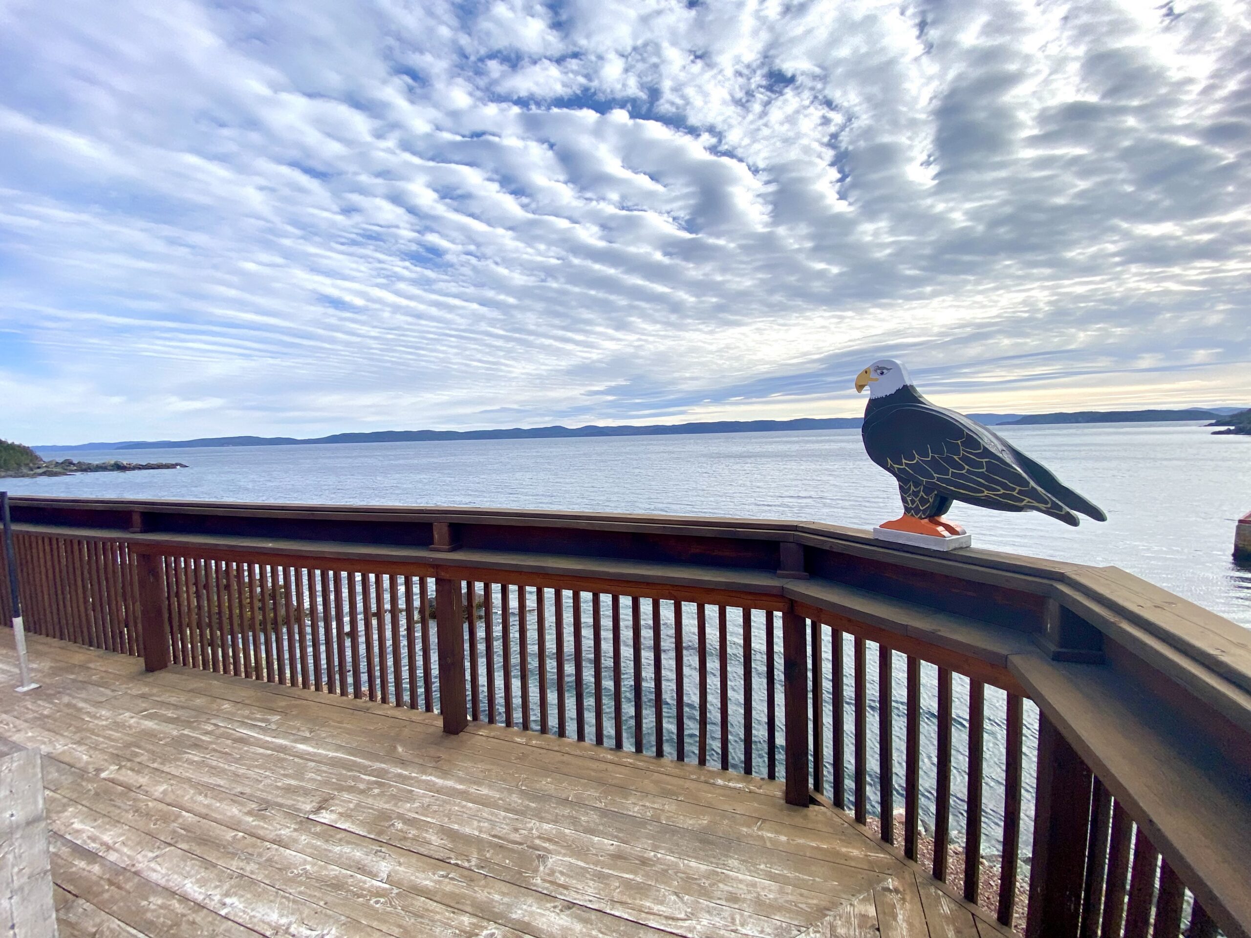 Main Gallery Display