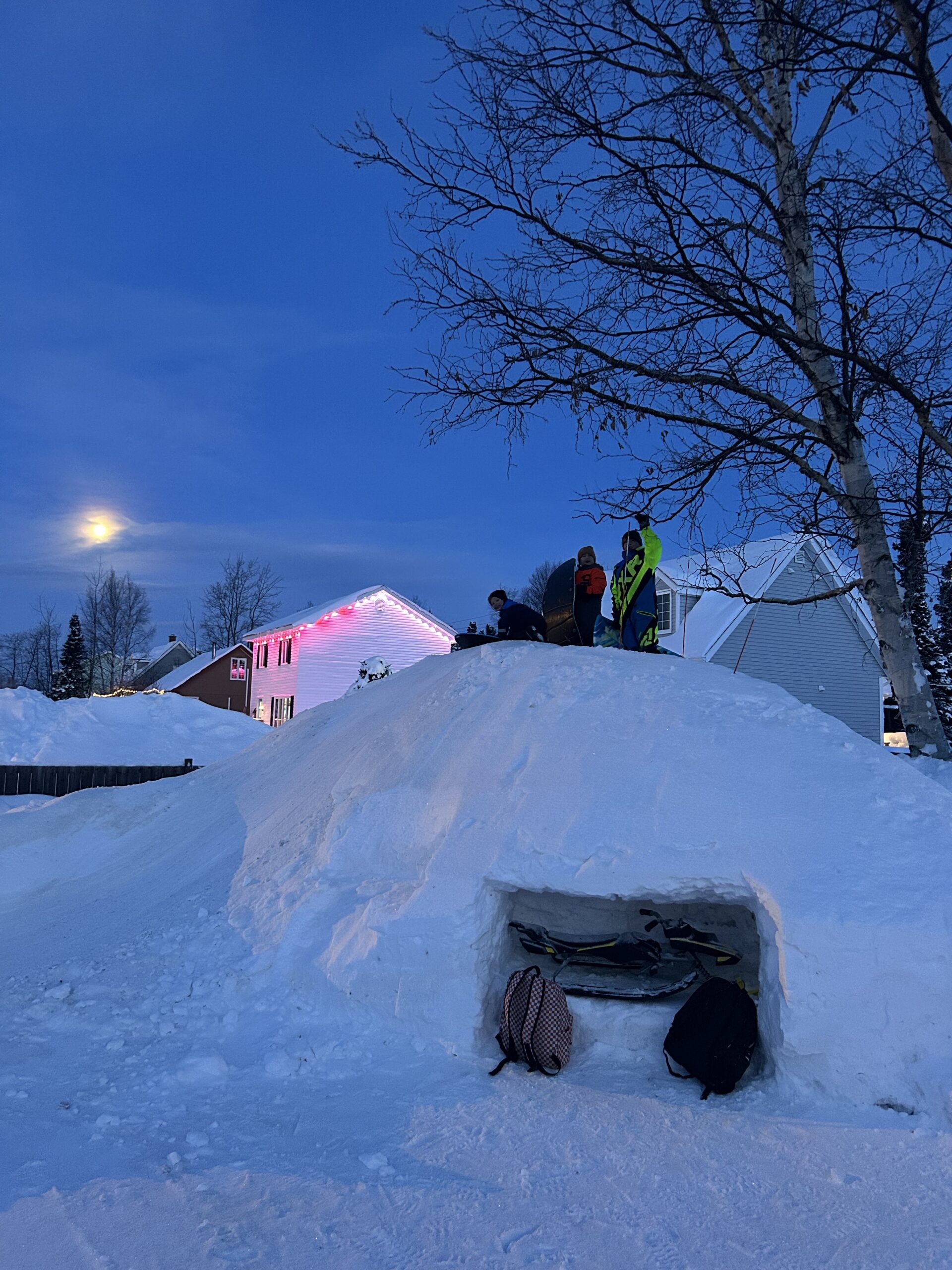 Main Gallery Display