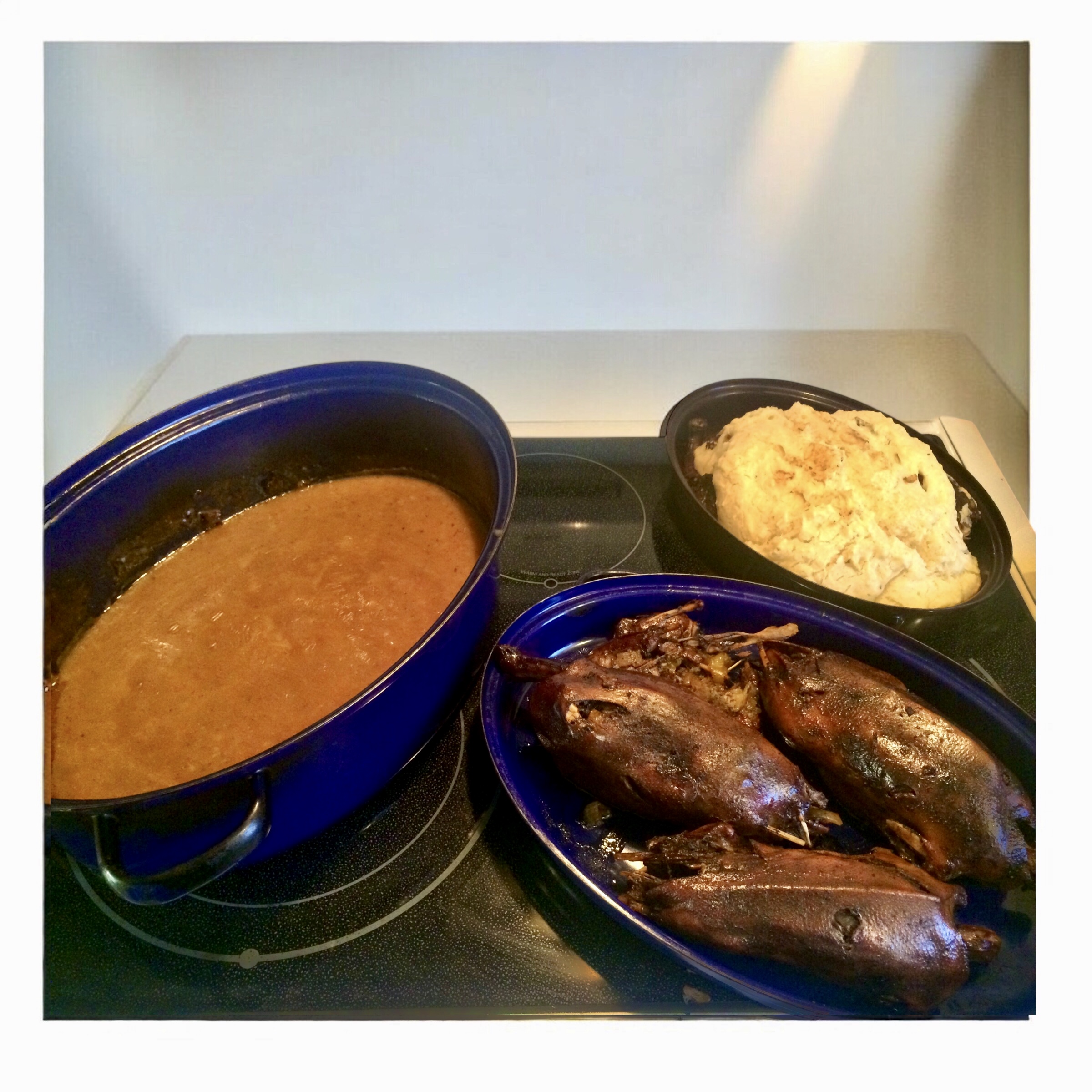 Main Gallery Display