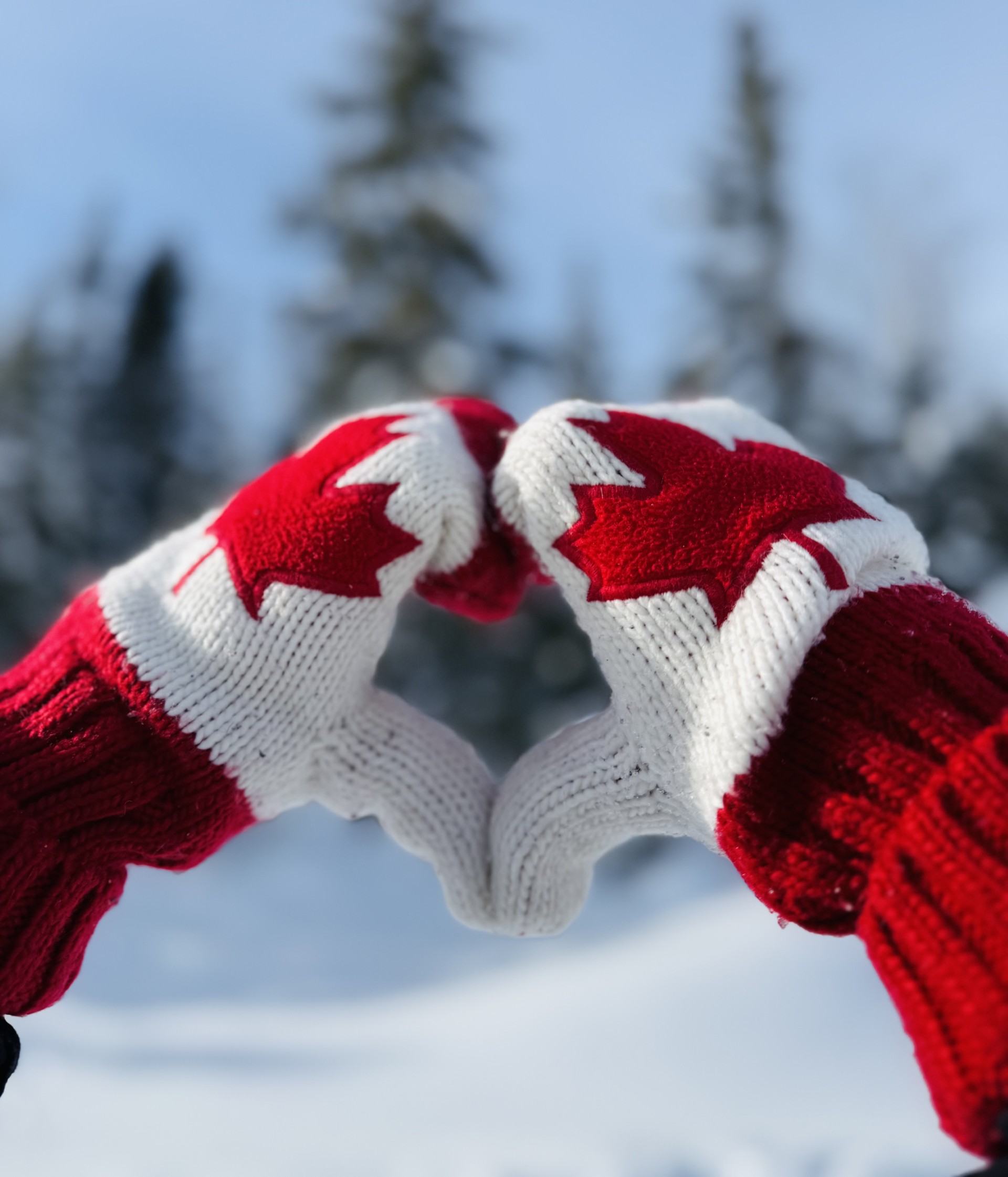 Main Gallery Display