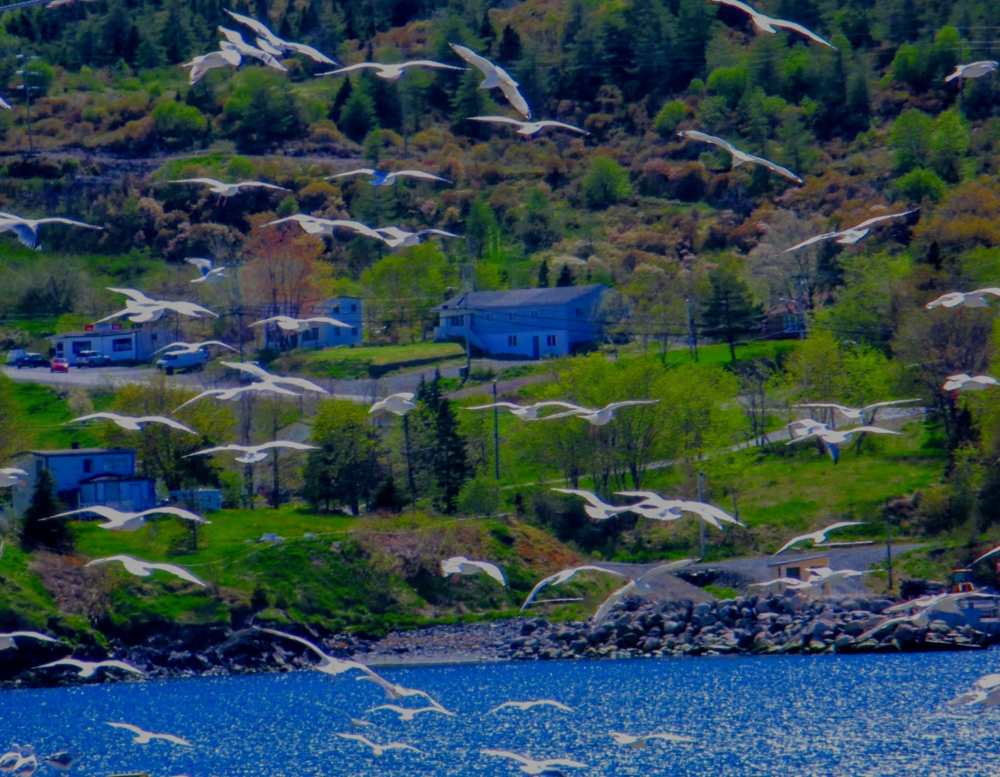 Main Gallery Display