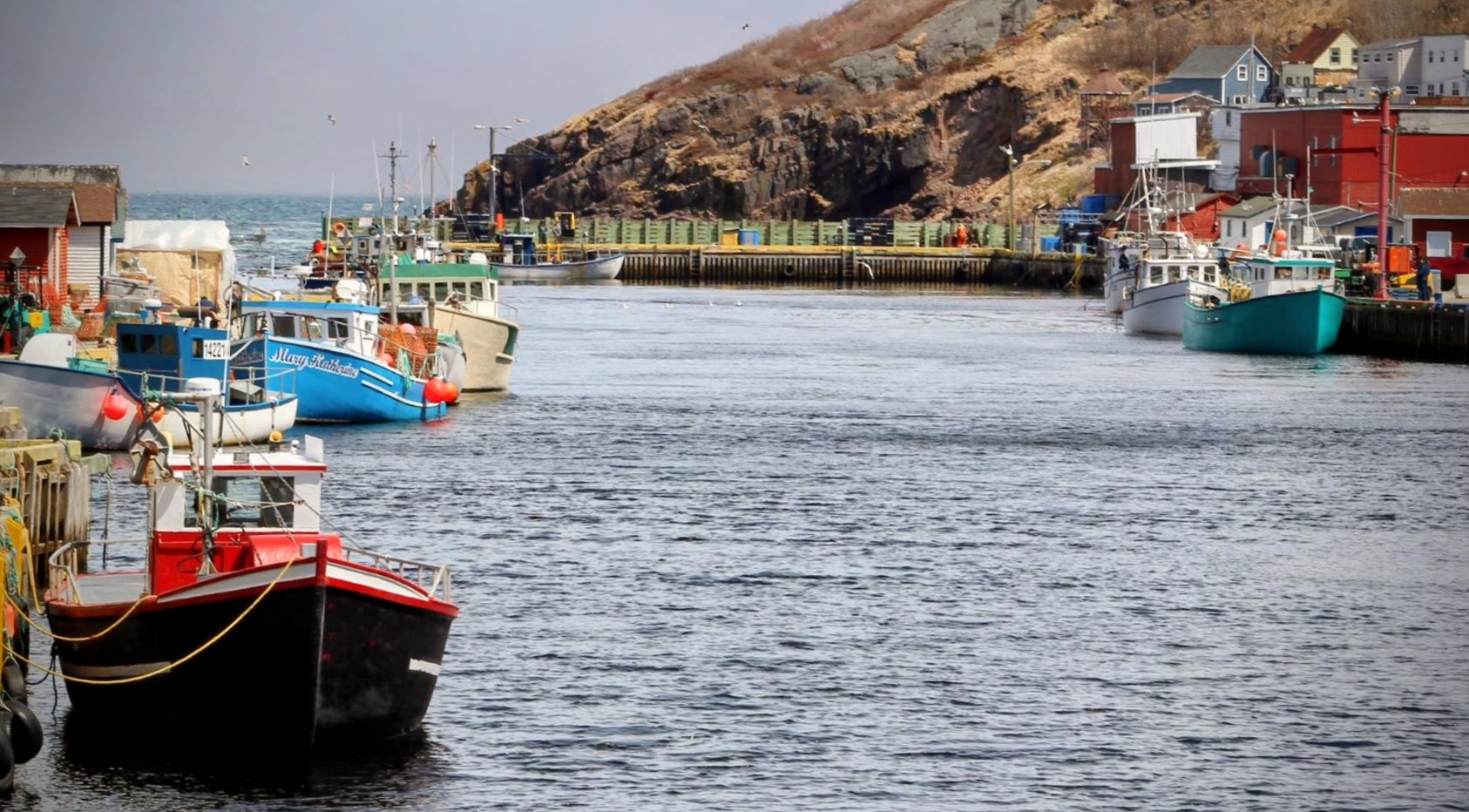 Main Gallery Display