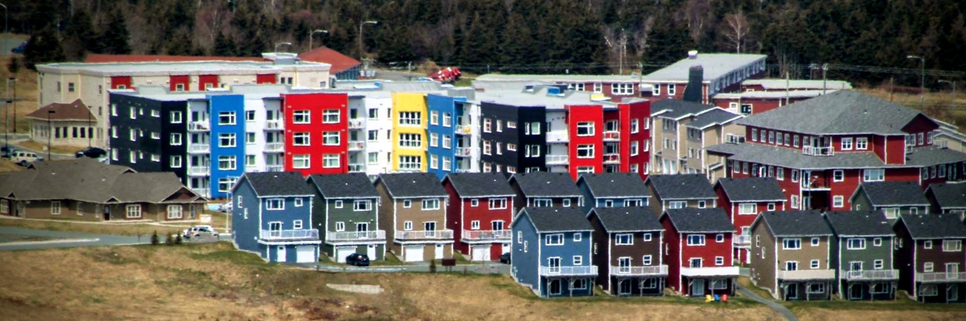 Main Gallery Display