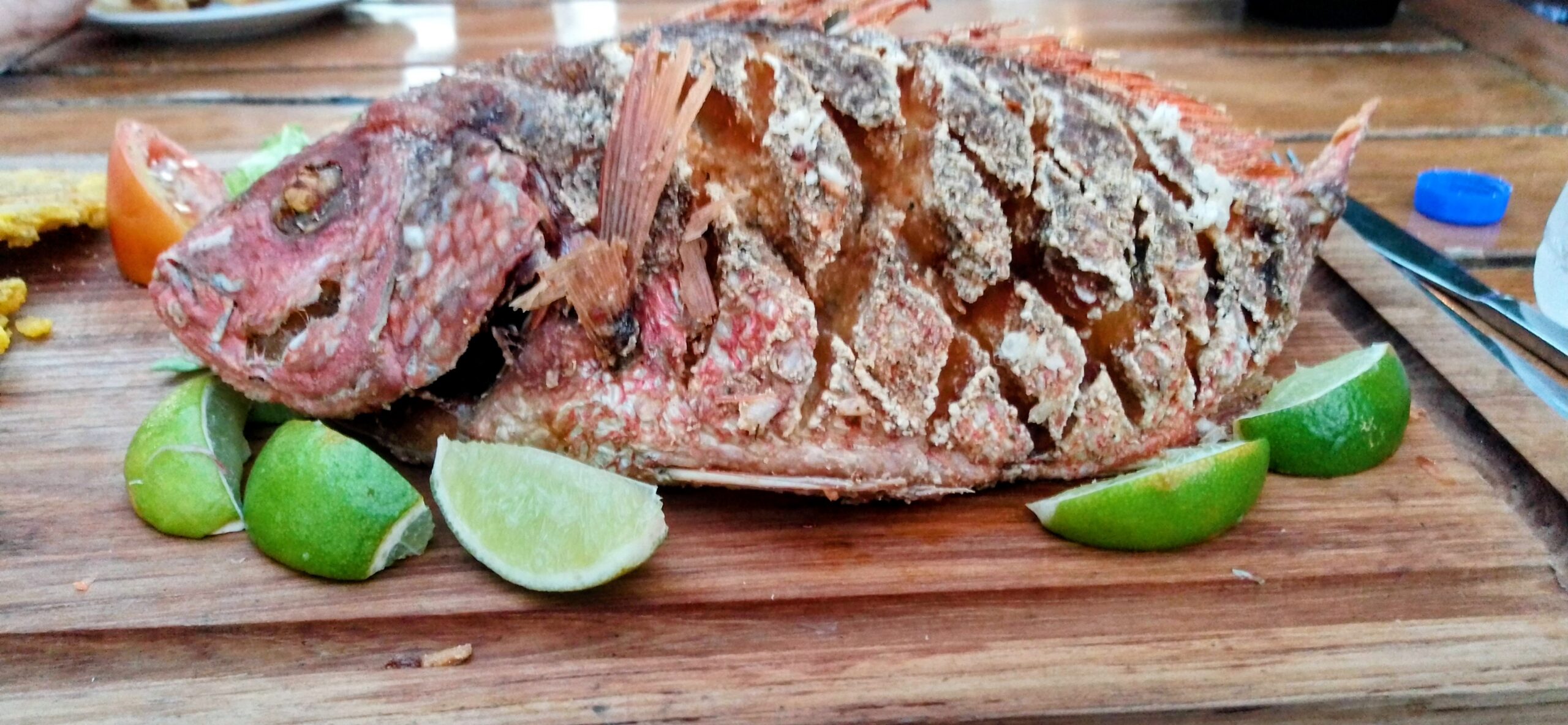 Main Gallery Display