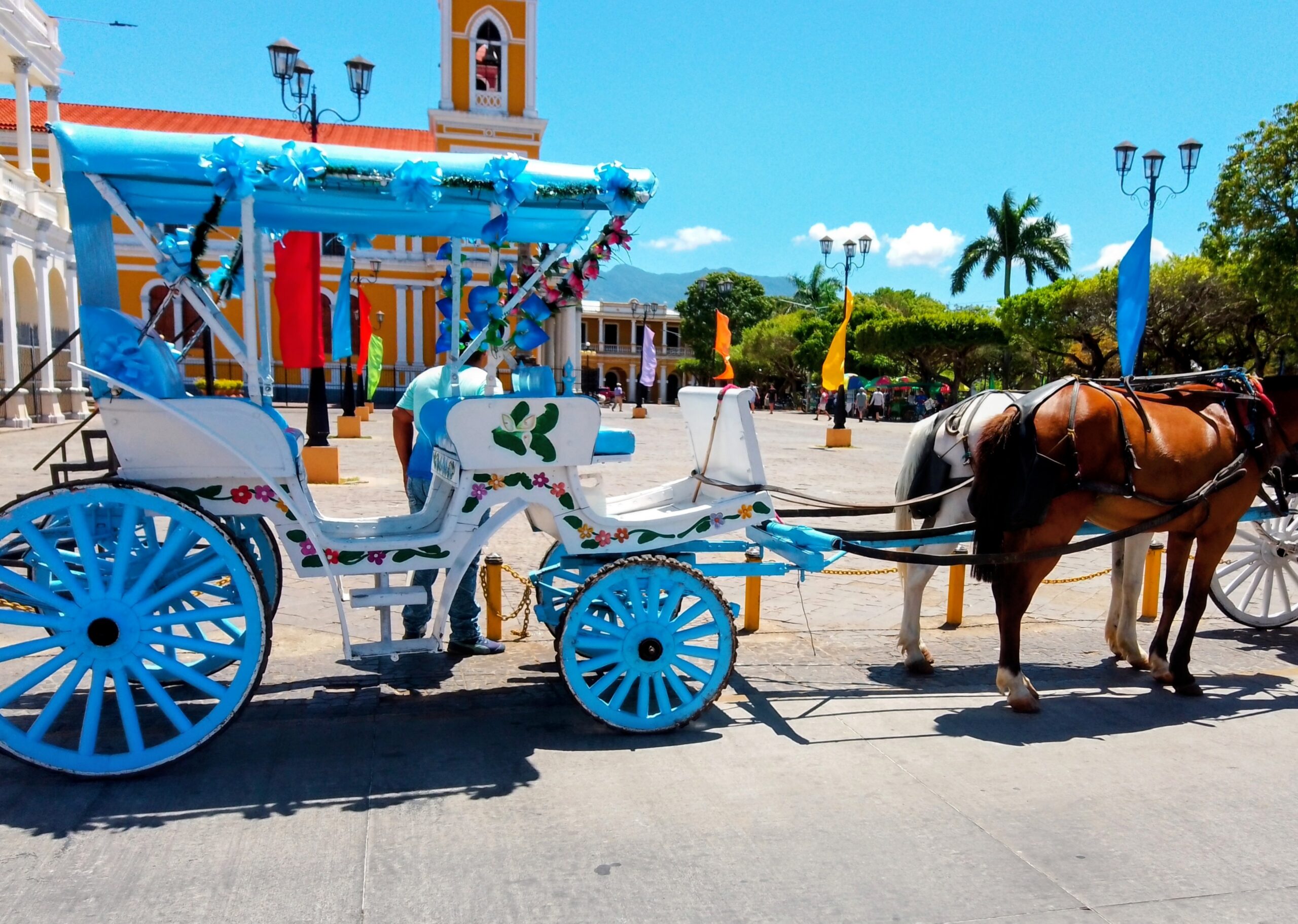 Main Gallery Display