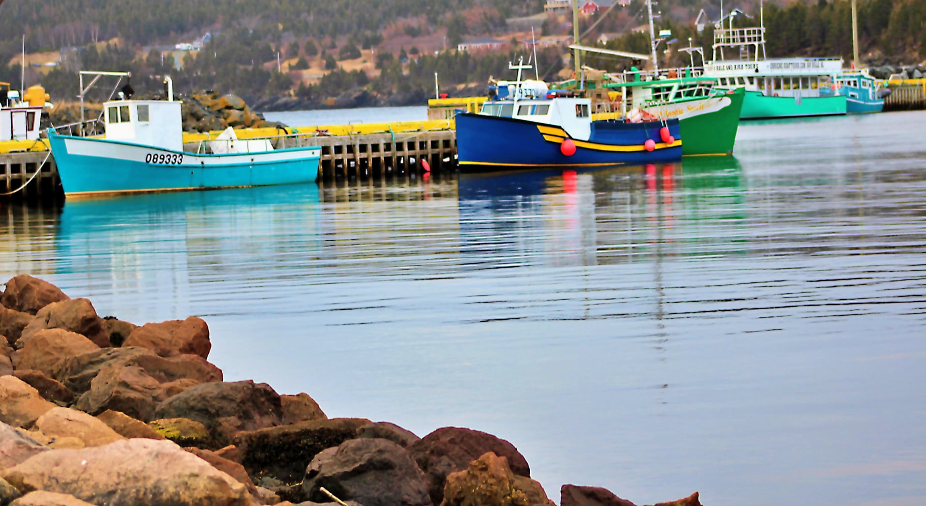 Main Gallery Display