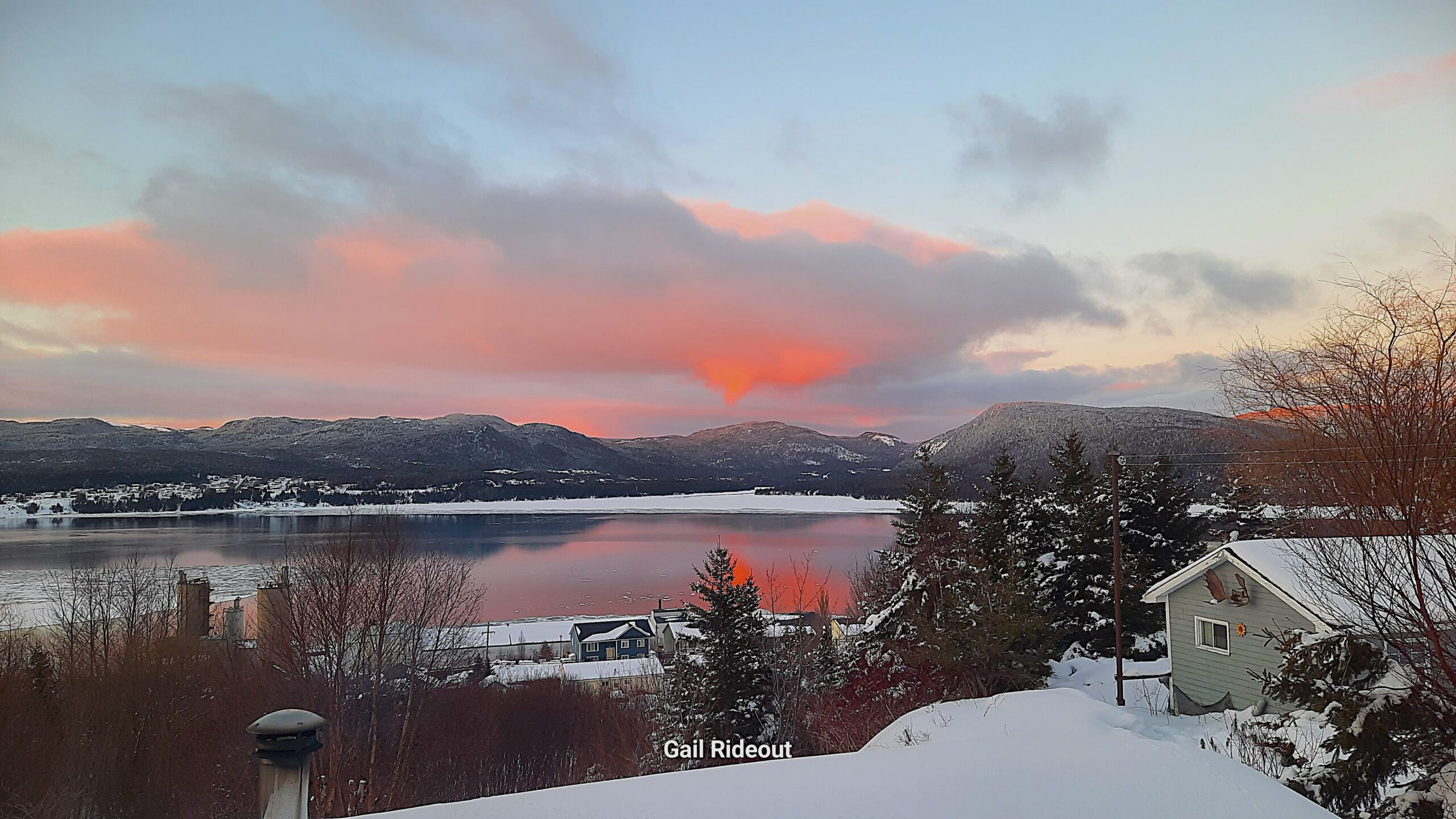 Main Gallery Display