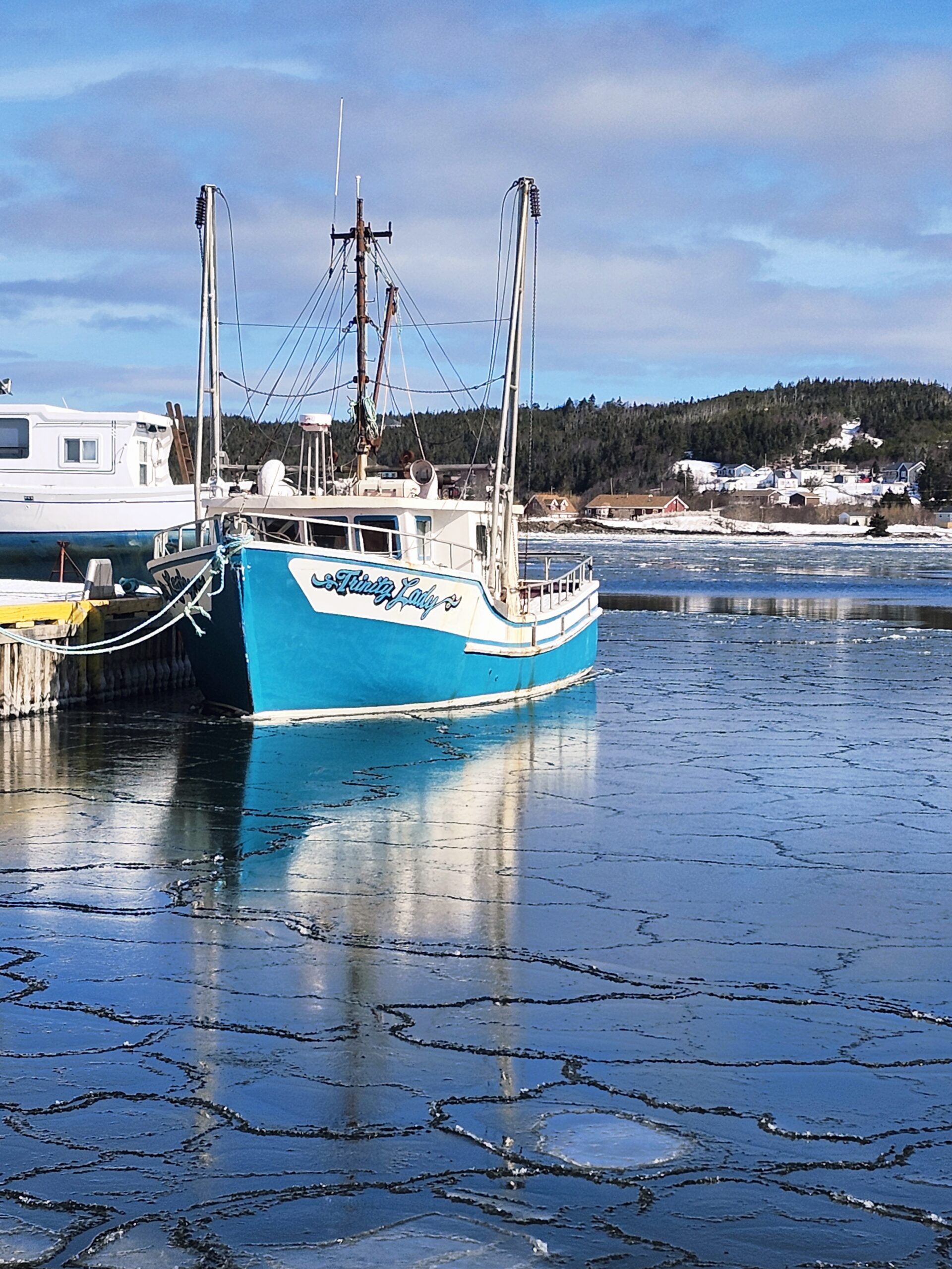 Main Gallery Display