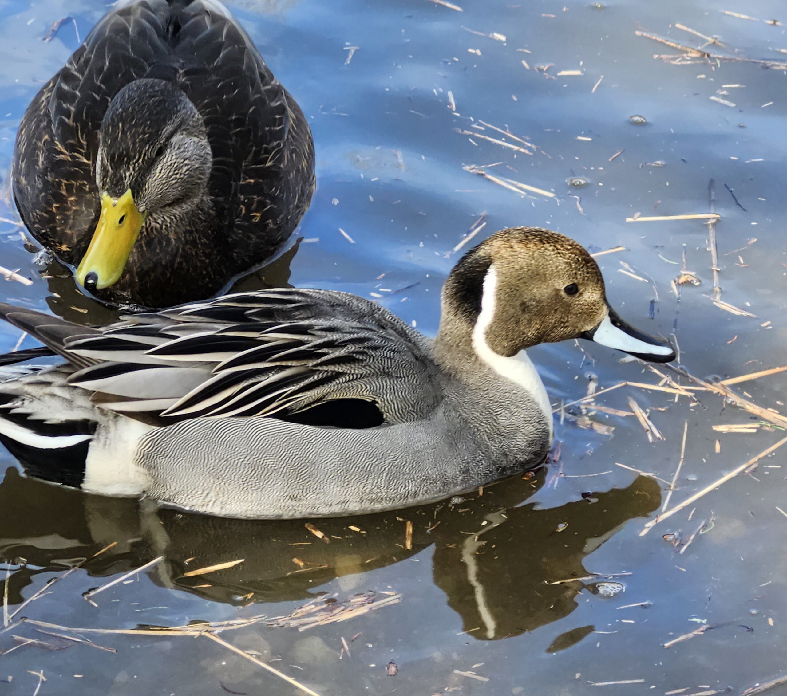 Main Gallery Display