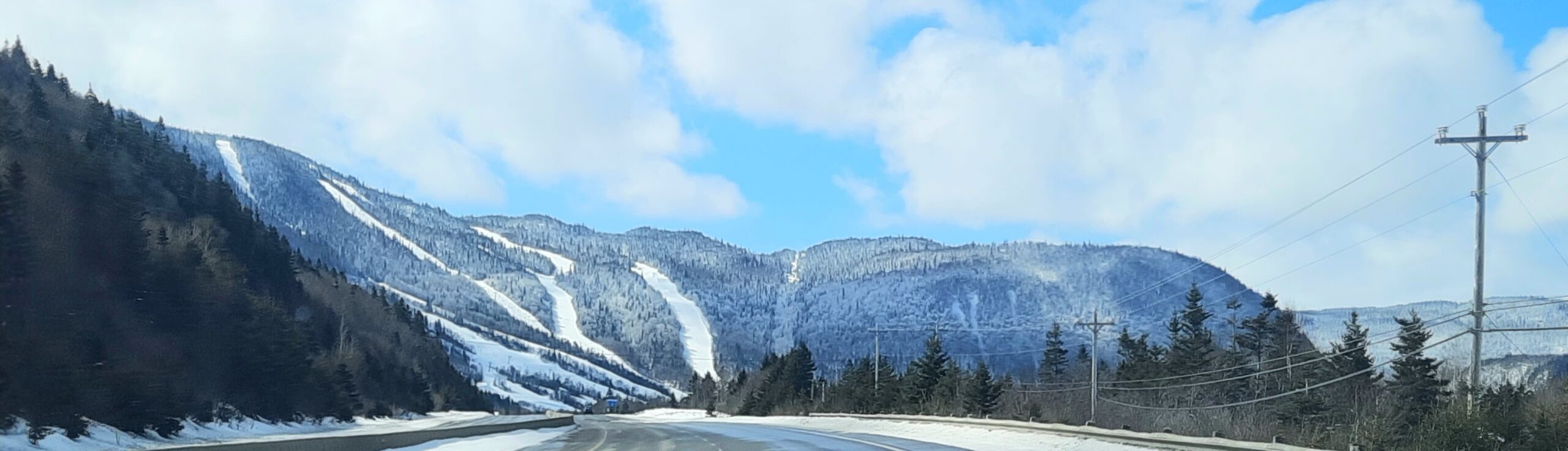 Main Gallery Display