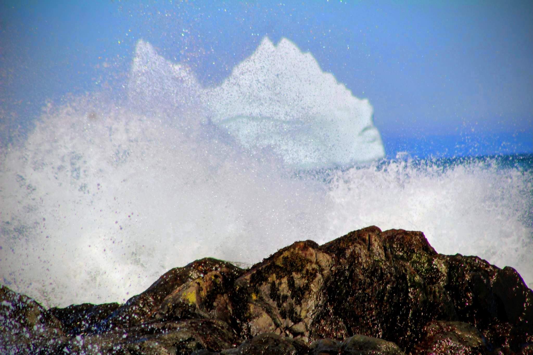 Main Gallery Display