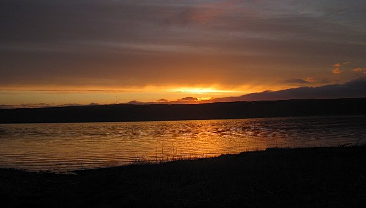 Main Gallery Display