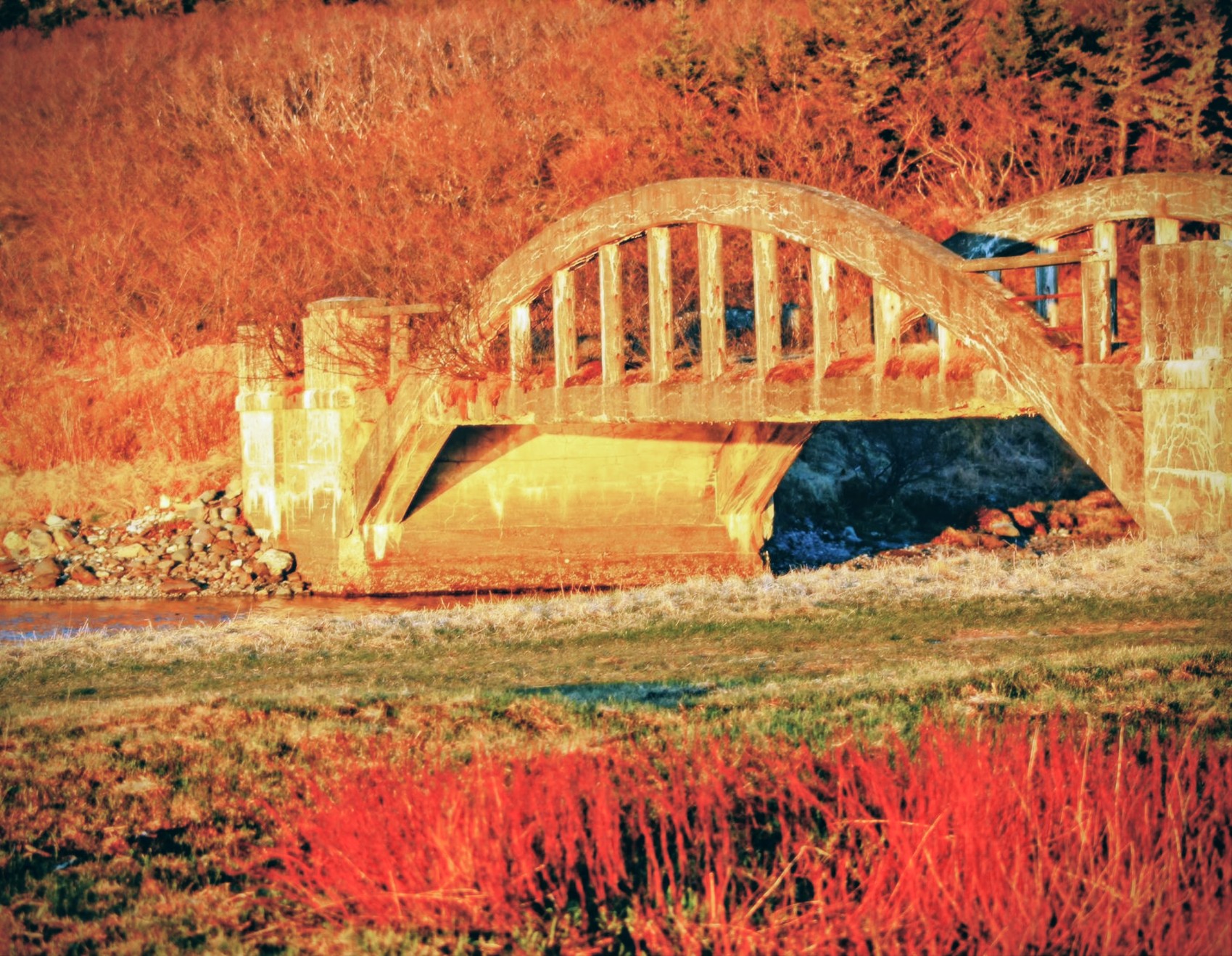 Main Gallery Display