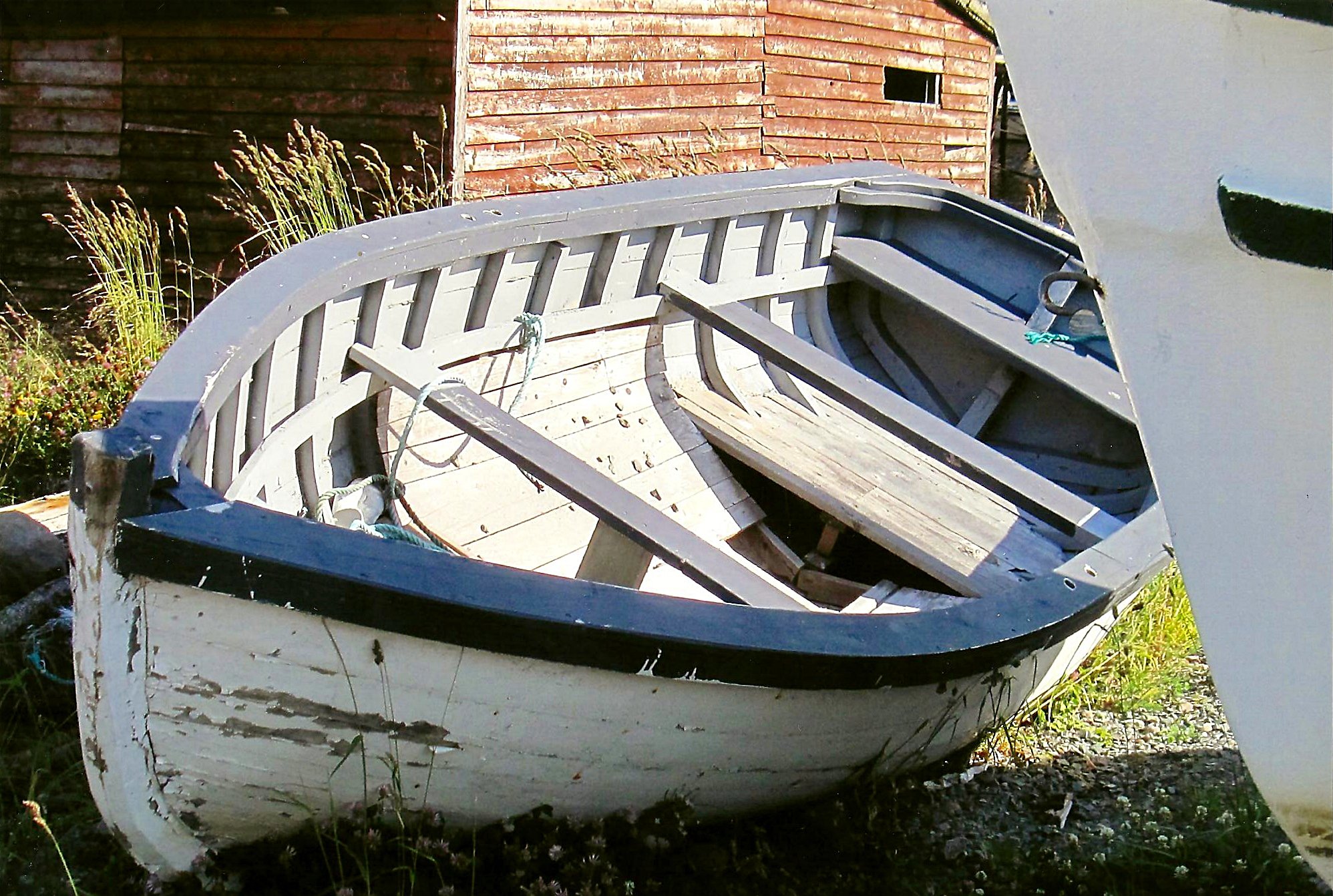 Main Gallery Display