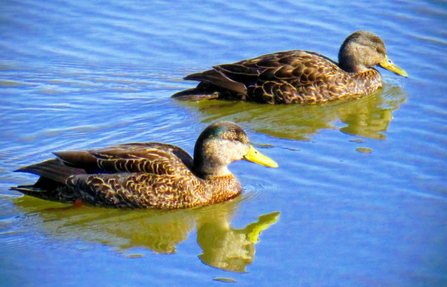 Main Gallery Display