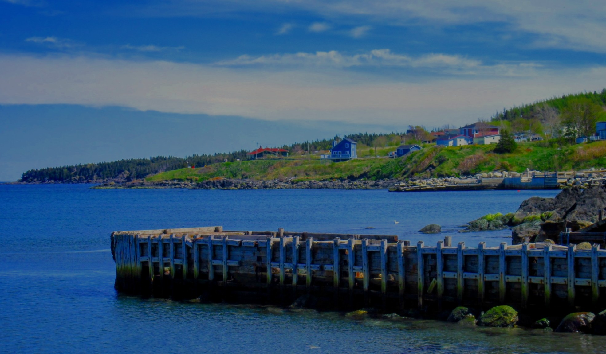 Main Gallery Display