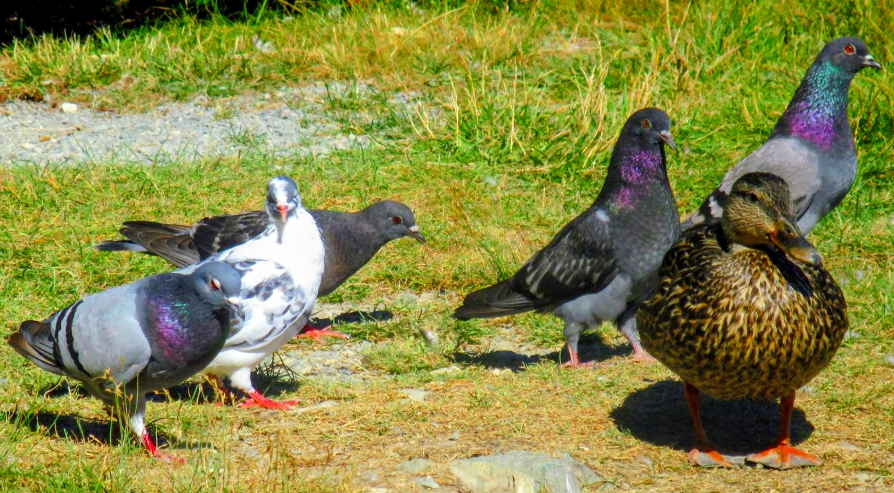 Main Gallery Display