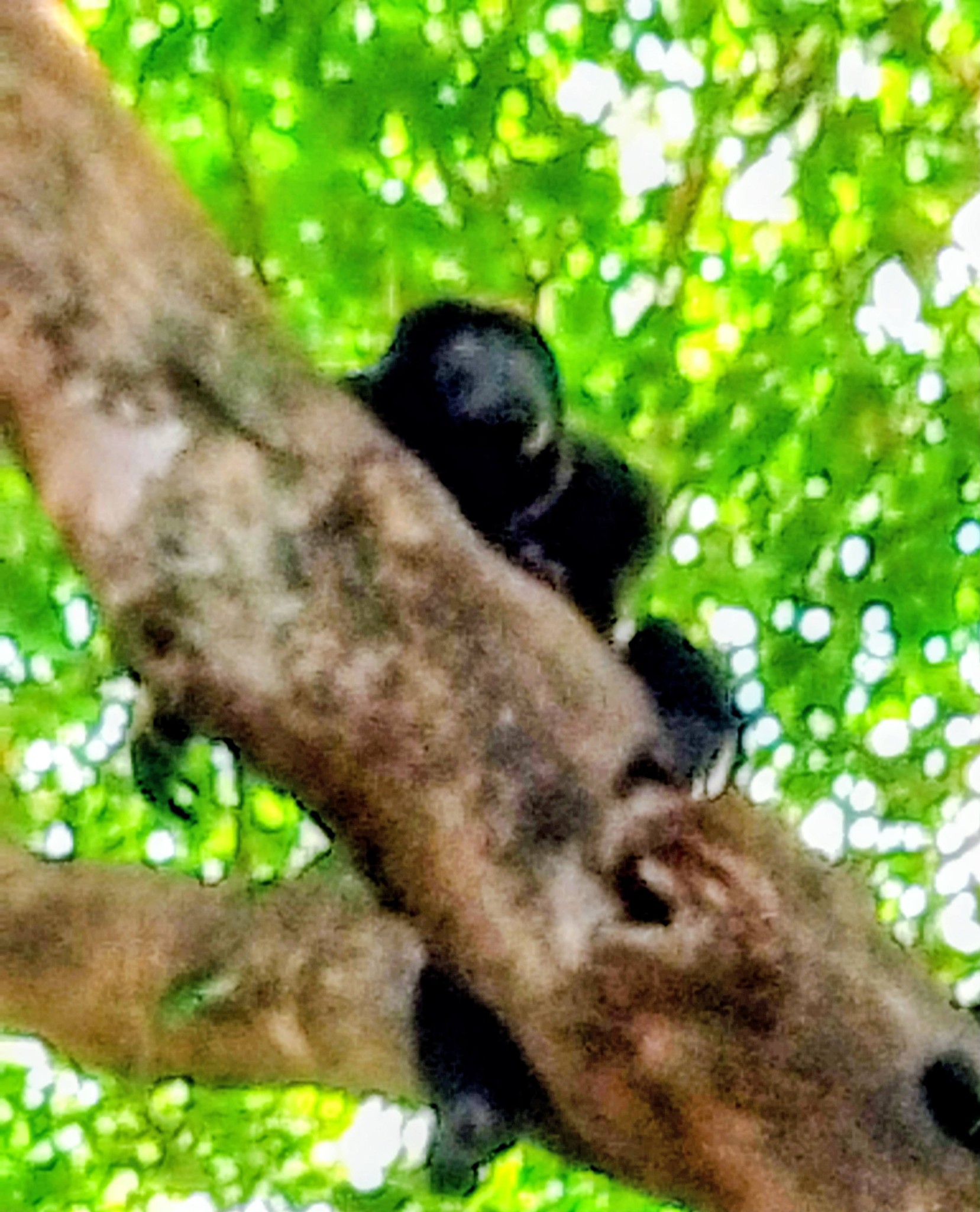 Main Gallery Display