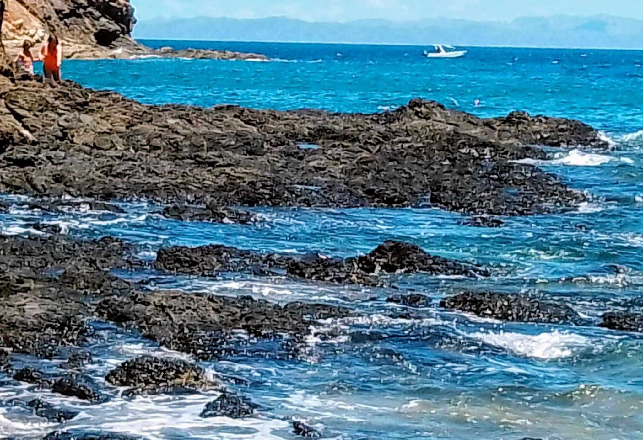 Main Gallery Display