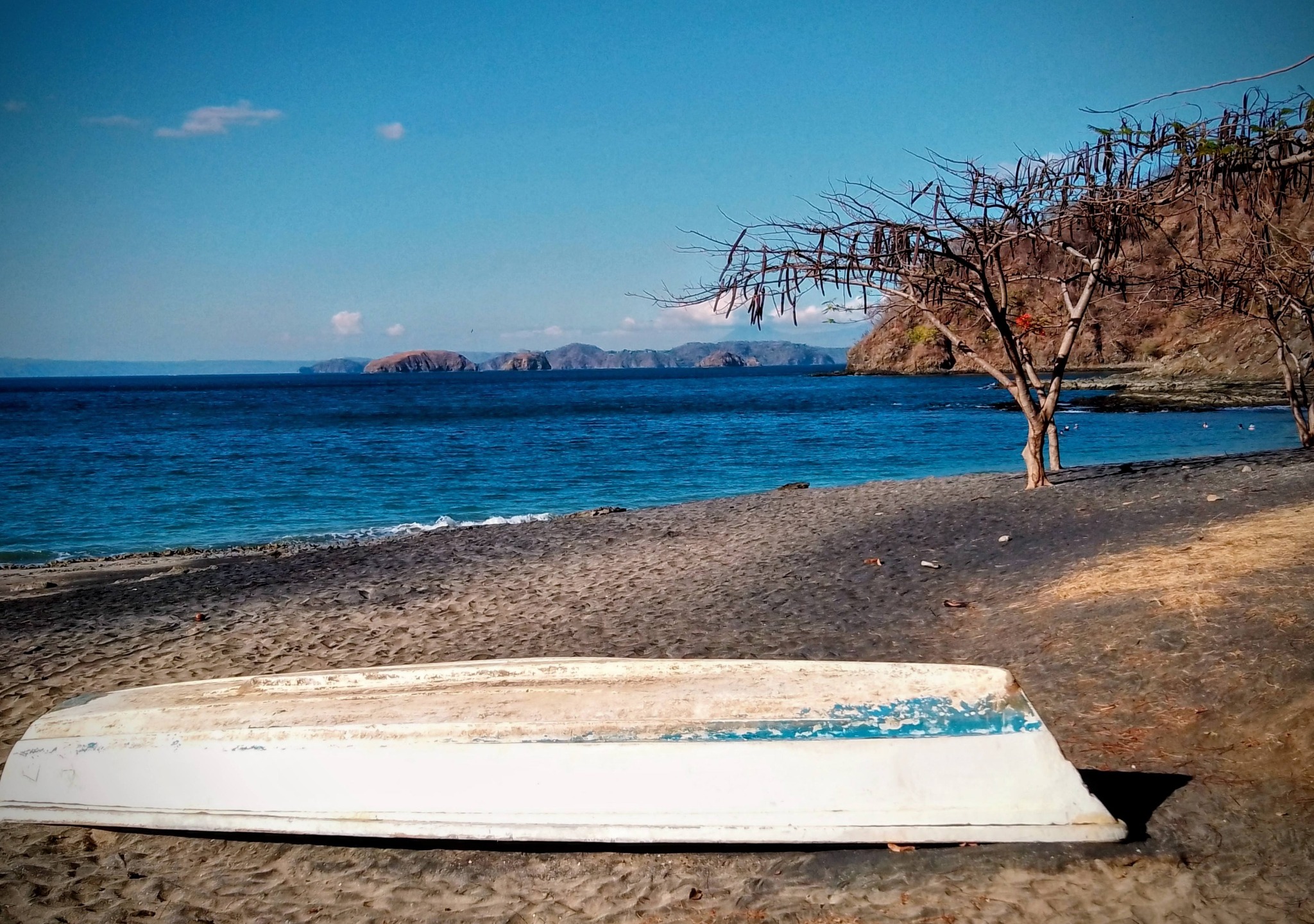 Main Gallery Display