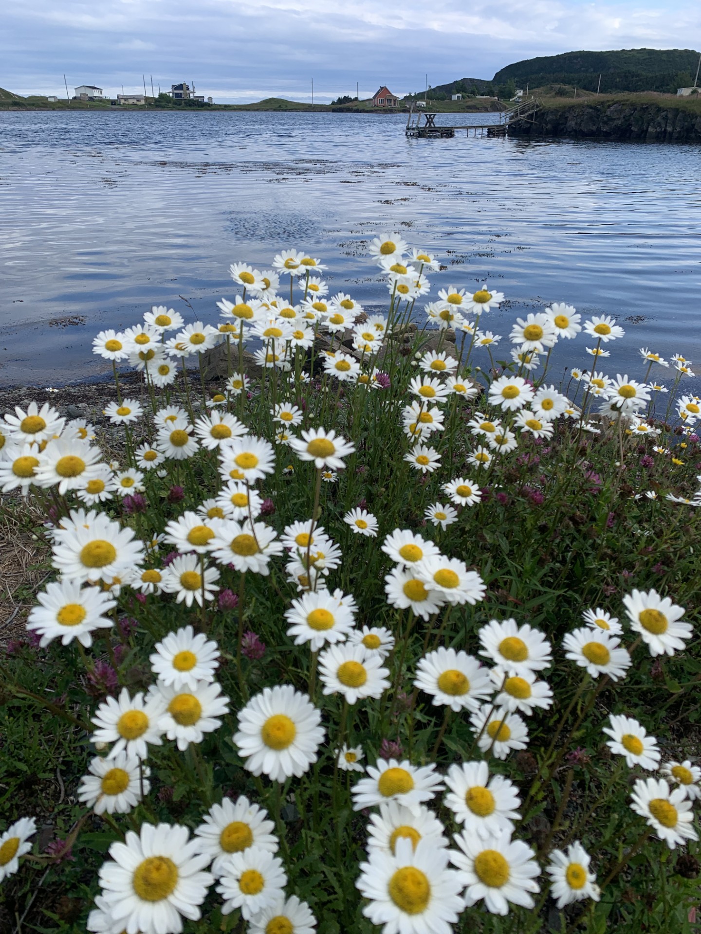 Main Gallery Display