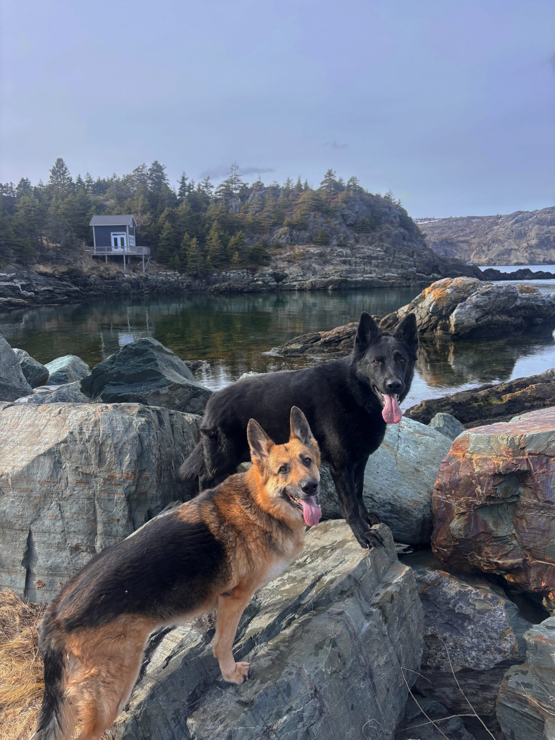 Main Gallery Display