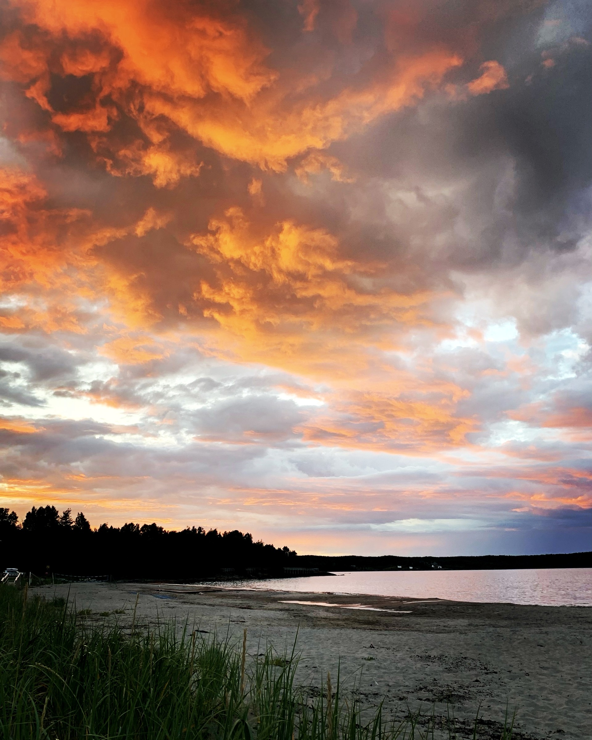 Main Gallery Display