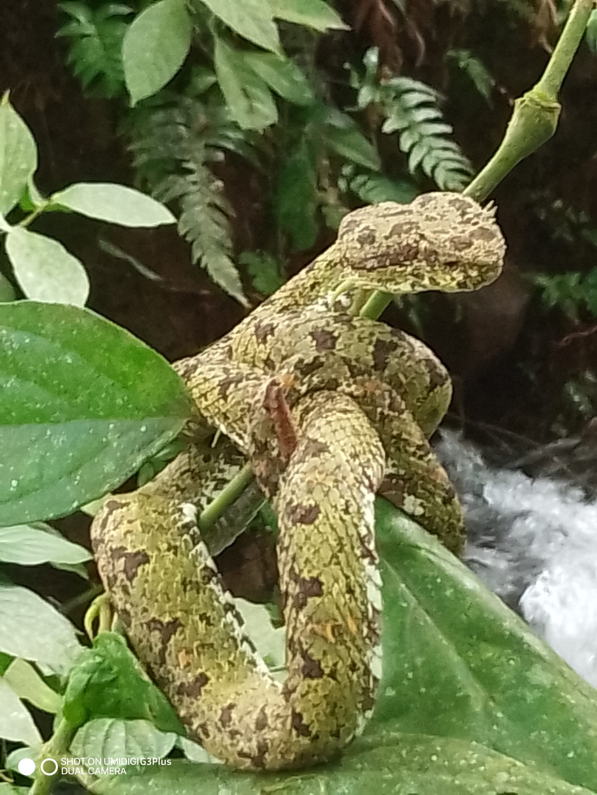 Main Gallery Display