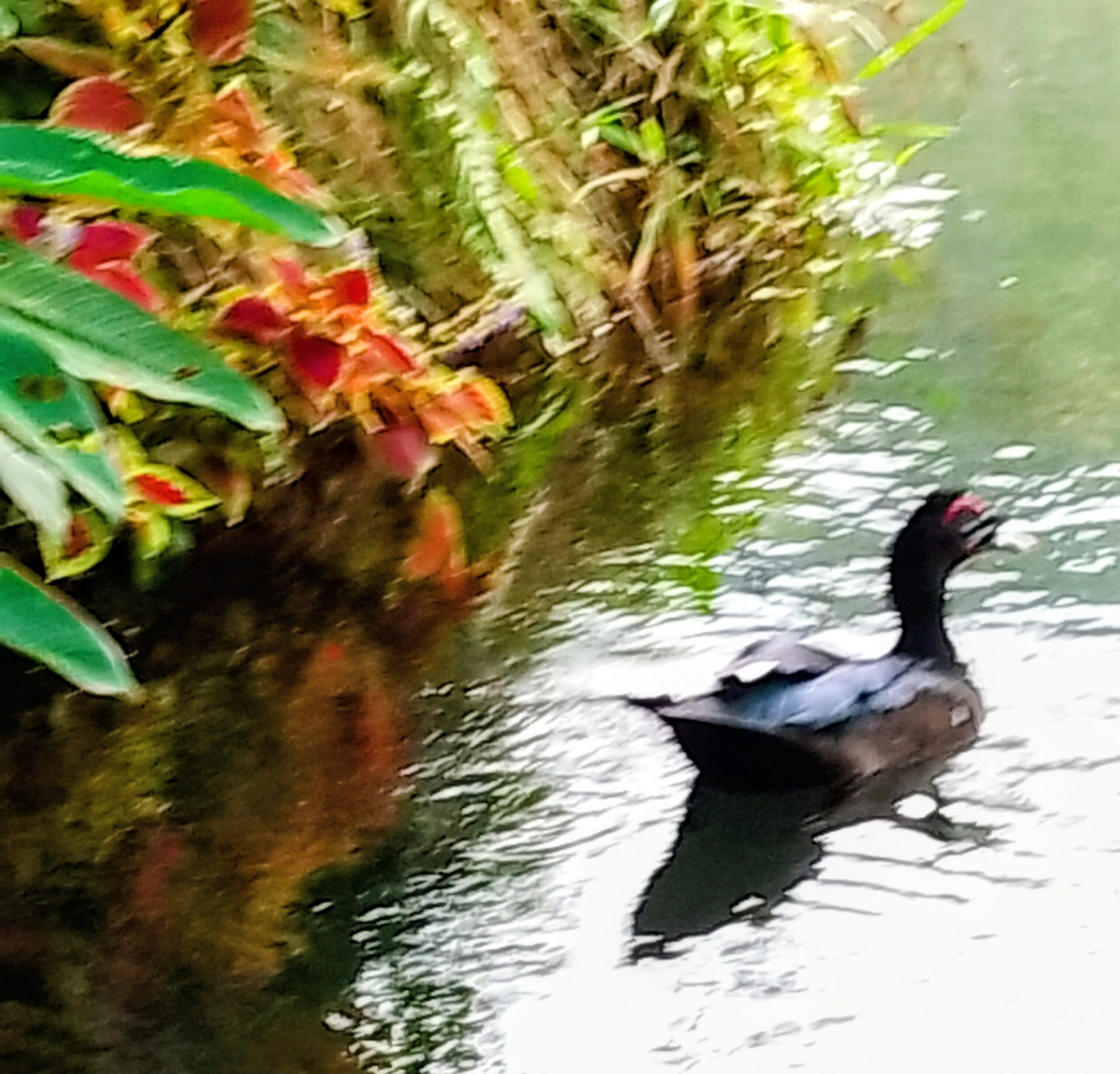 Main Gallery Display