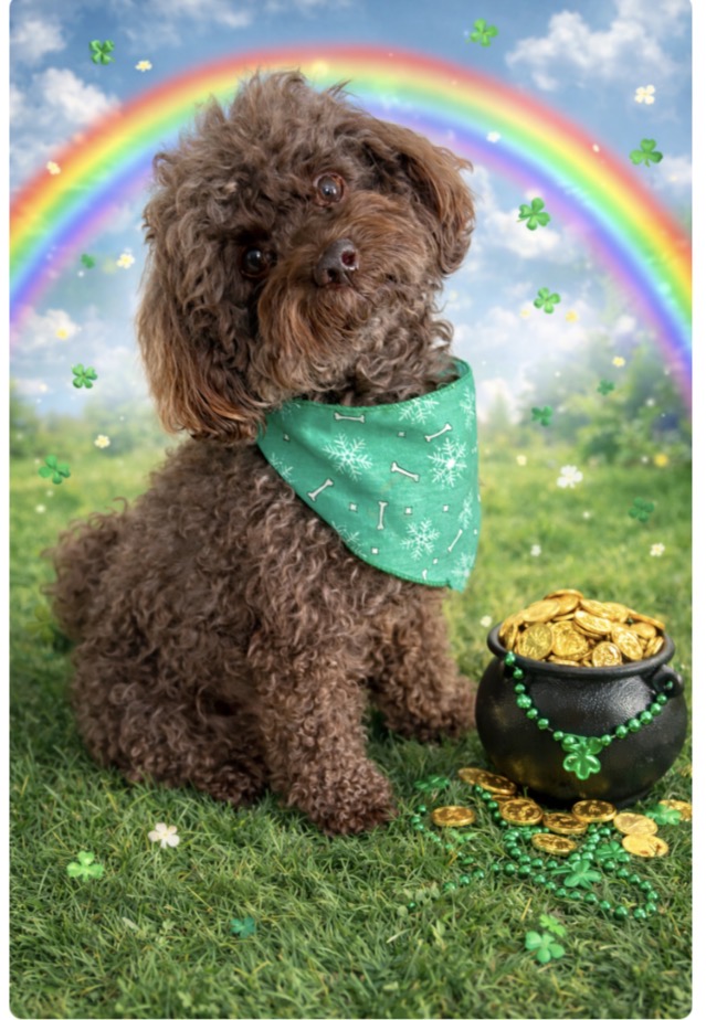 Main Gallery Display