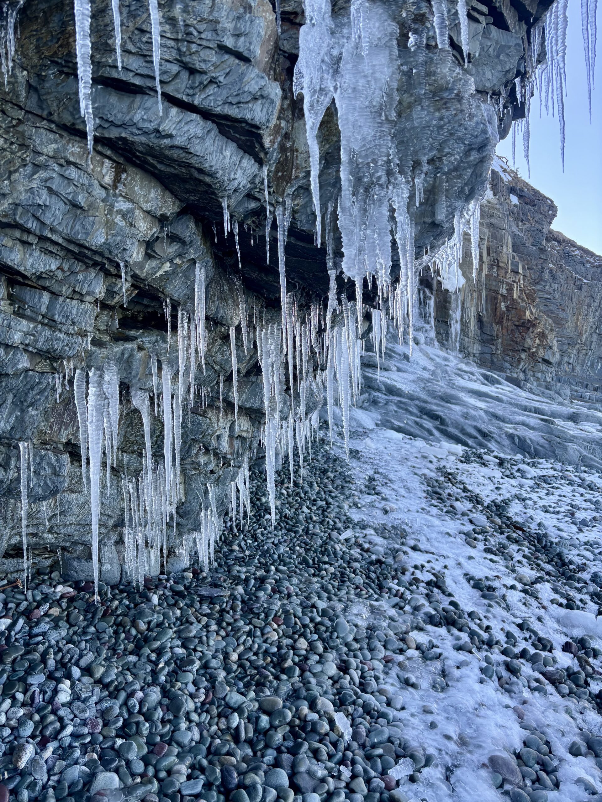 Main Gallery Display