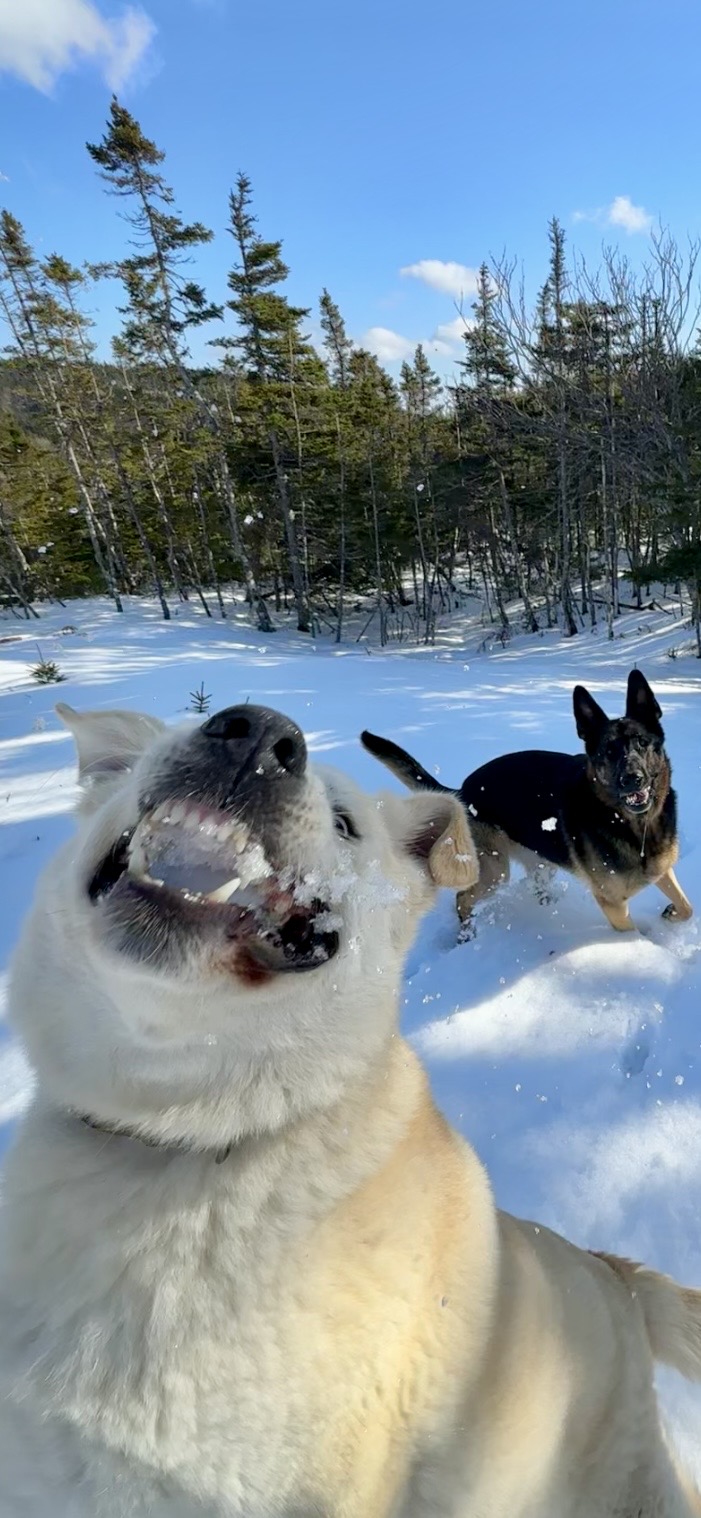 Main Gallery Display