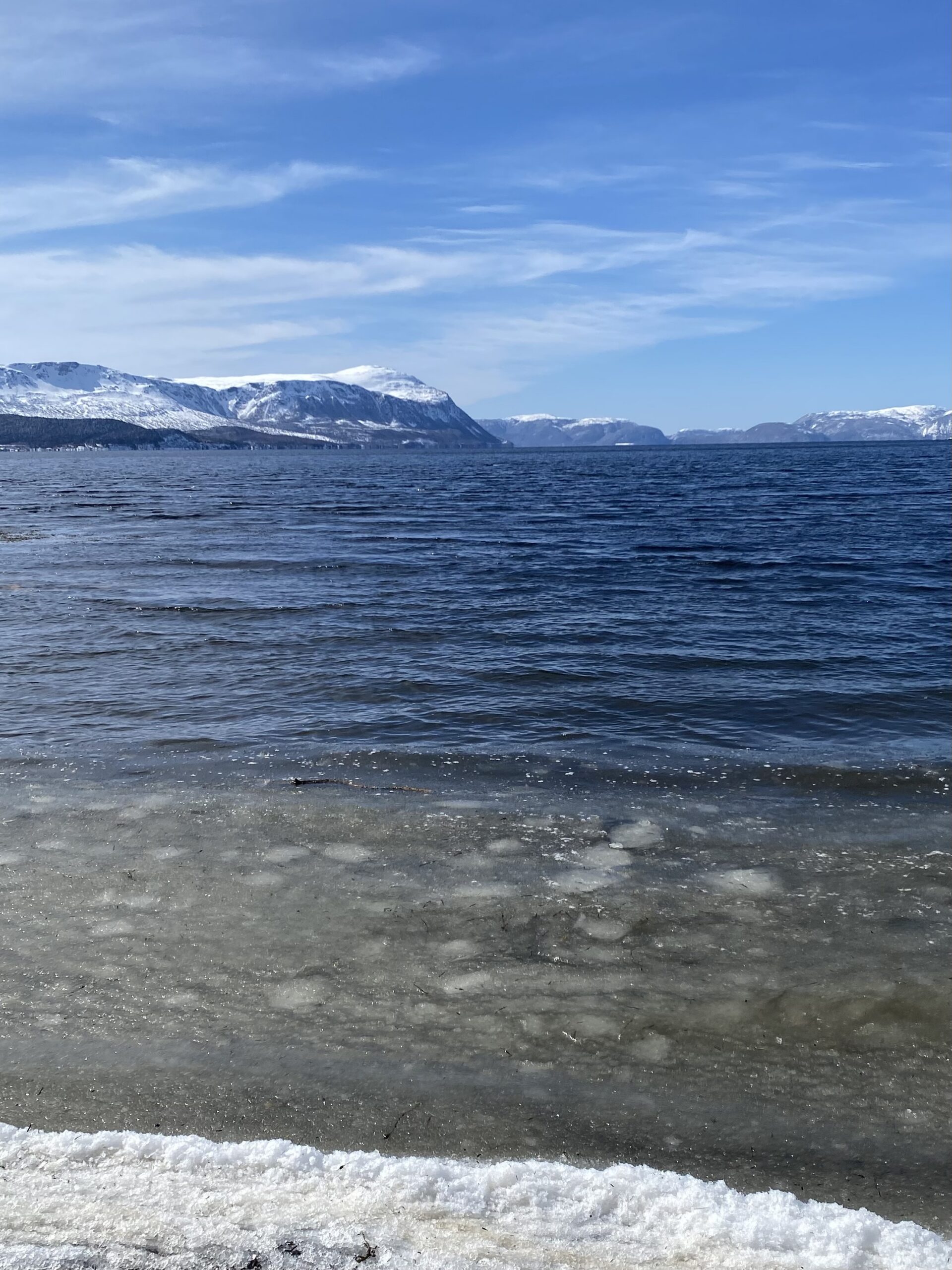 Main Gallery Display