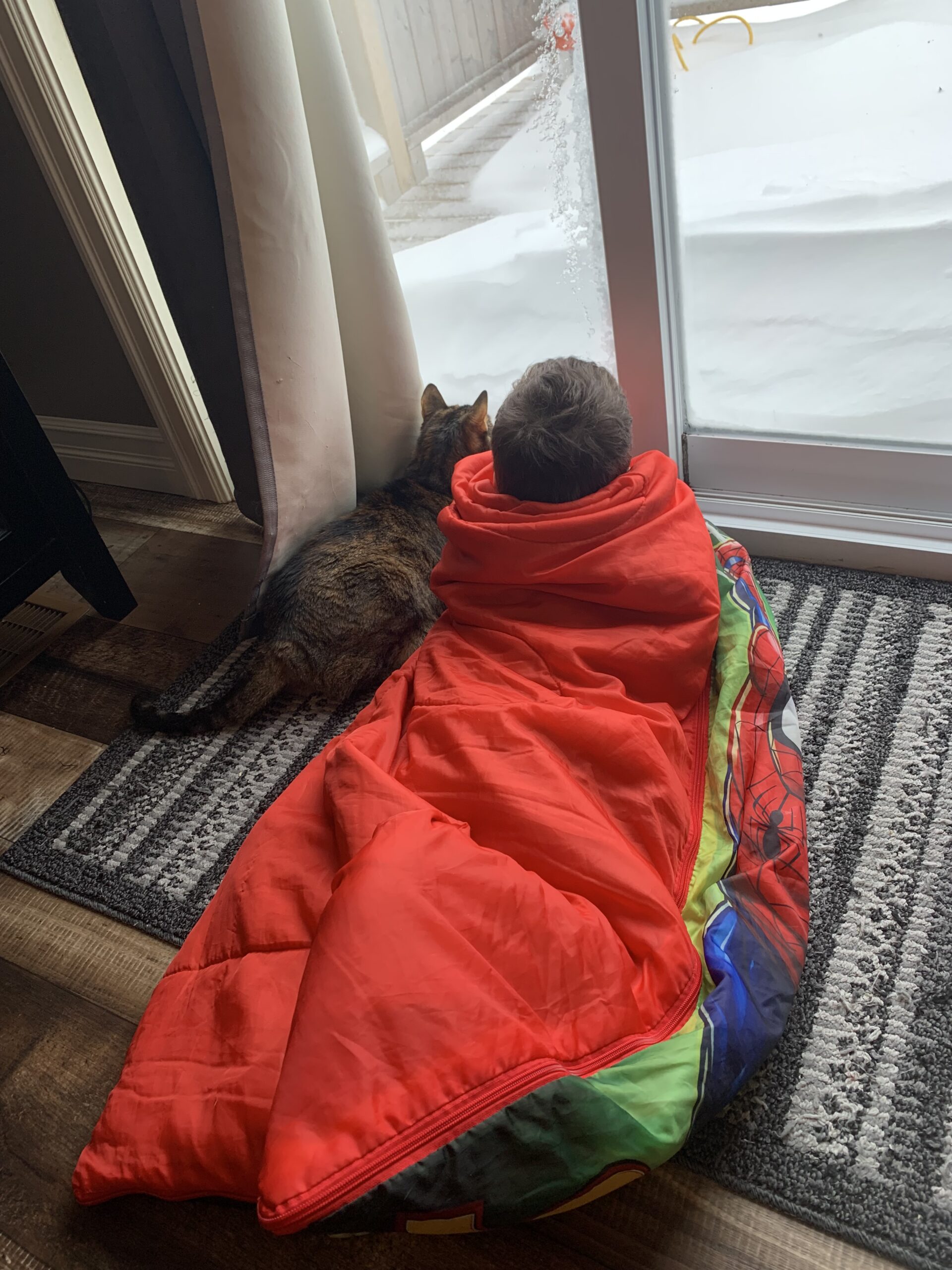 Main Gallery Display