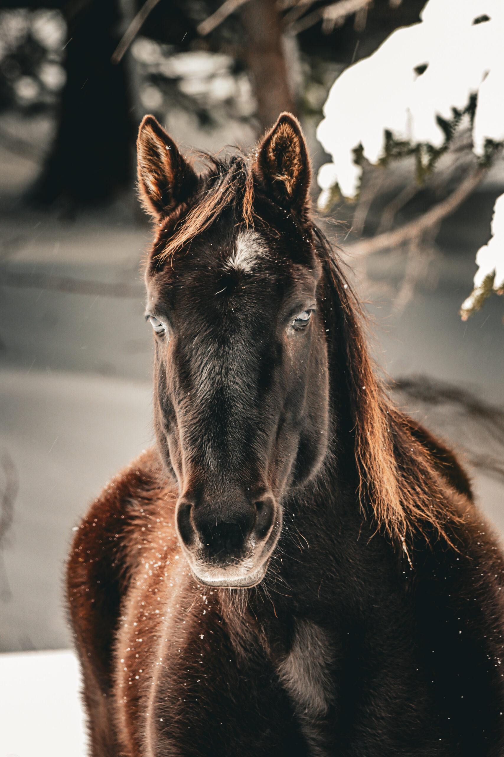 Main Gallery Display