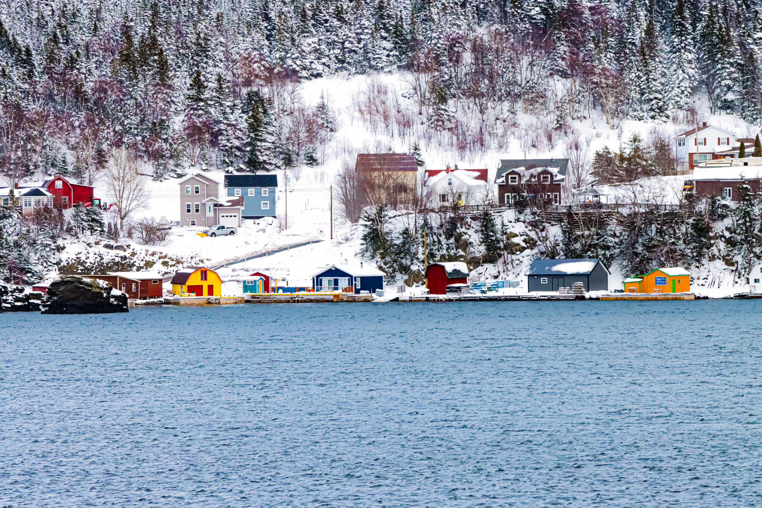 Main Gallery Display