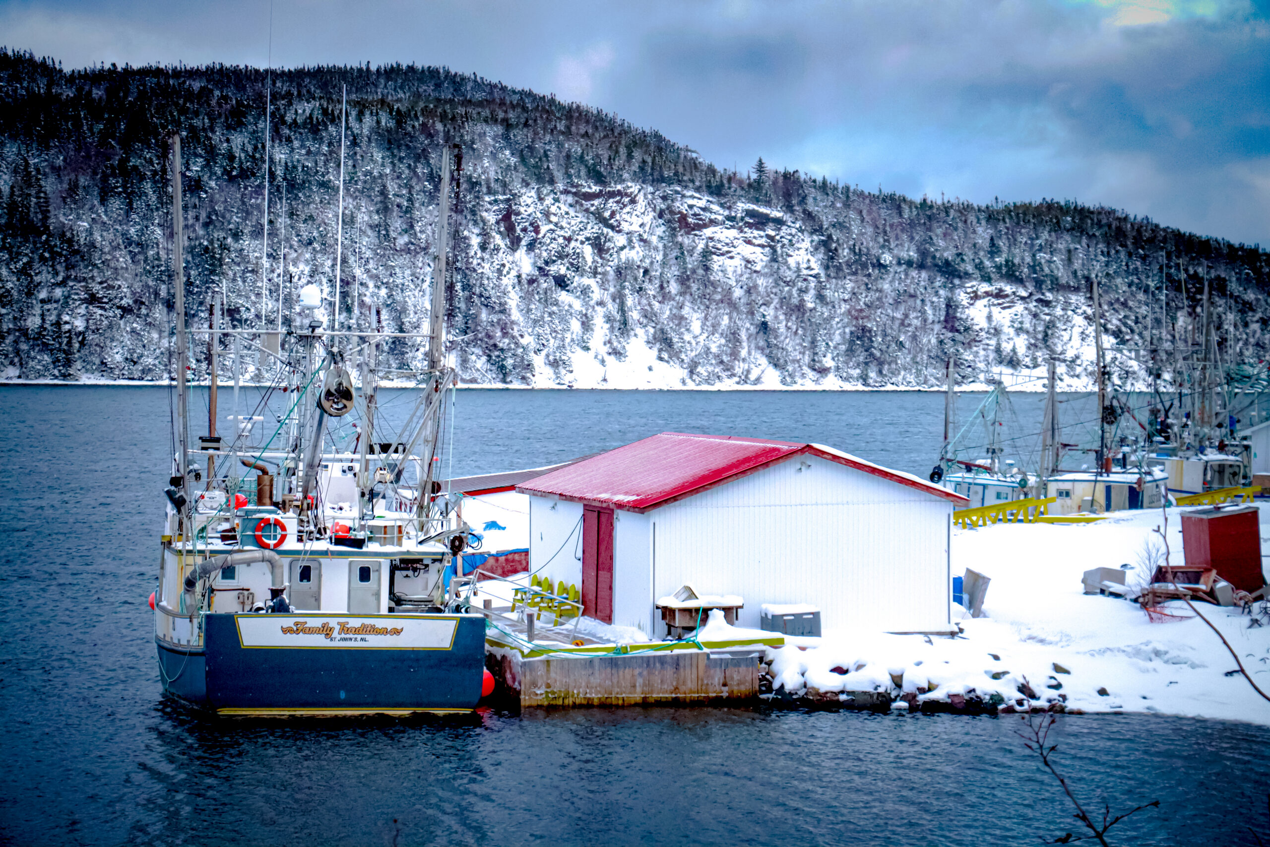 Main Gallery Display