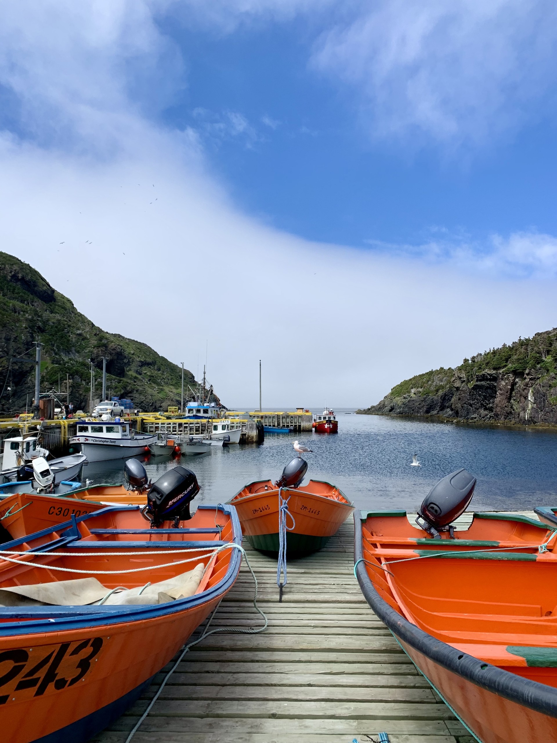 Main Gallery Display