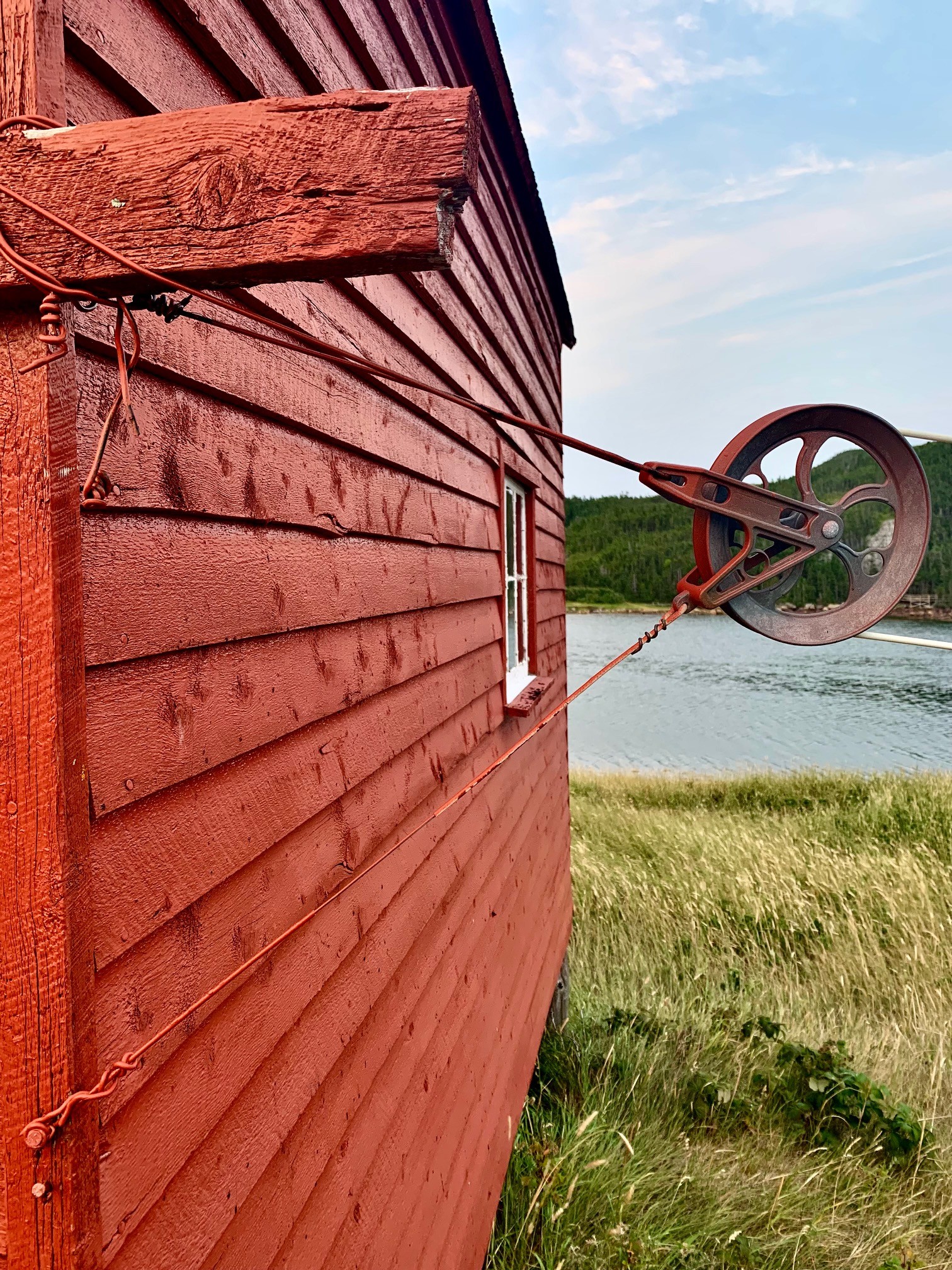 Main Gallery Display