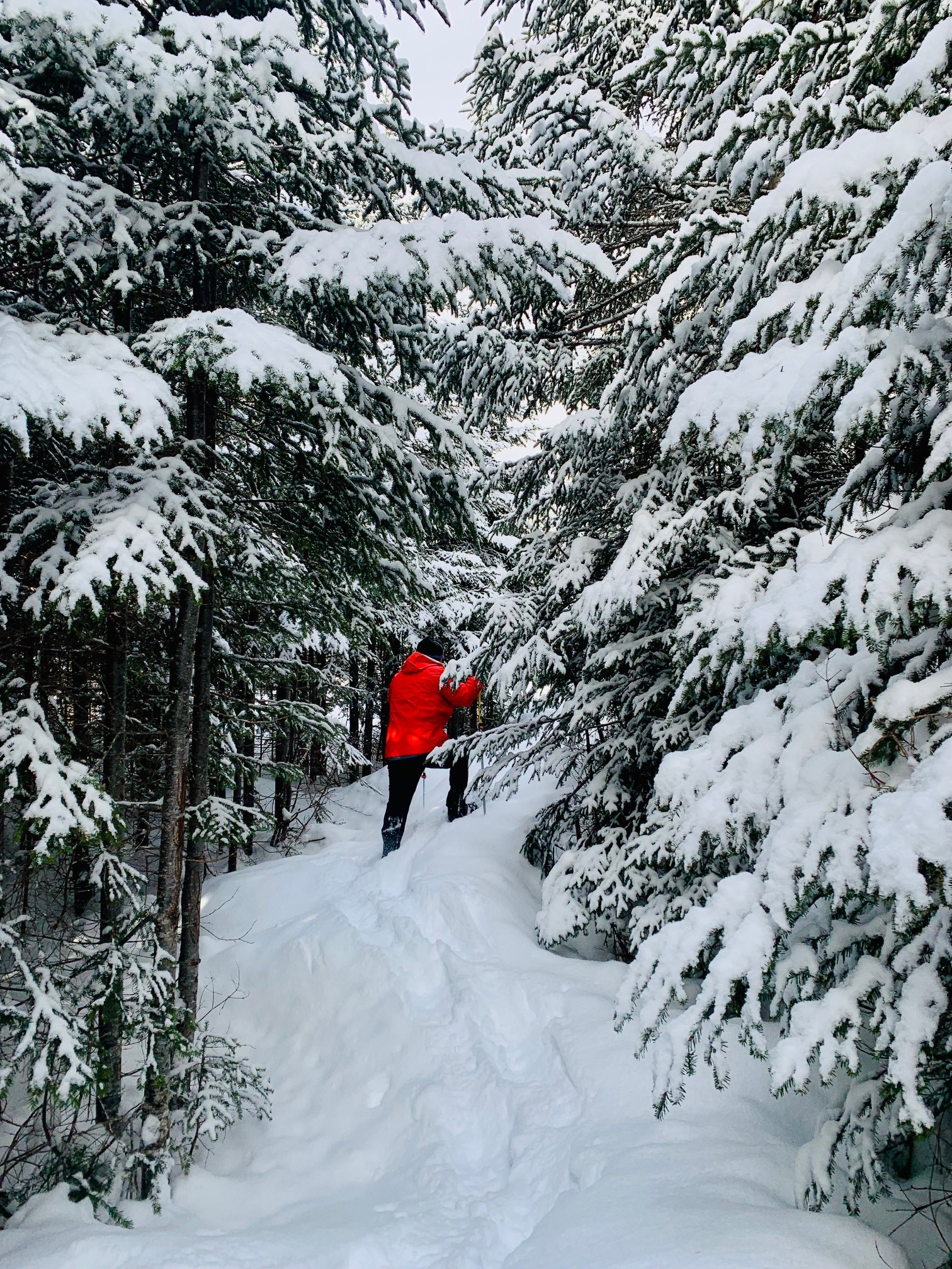 Main Gallery Display