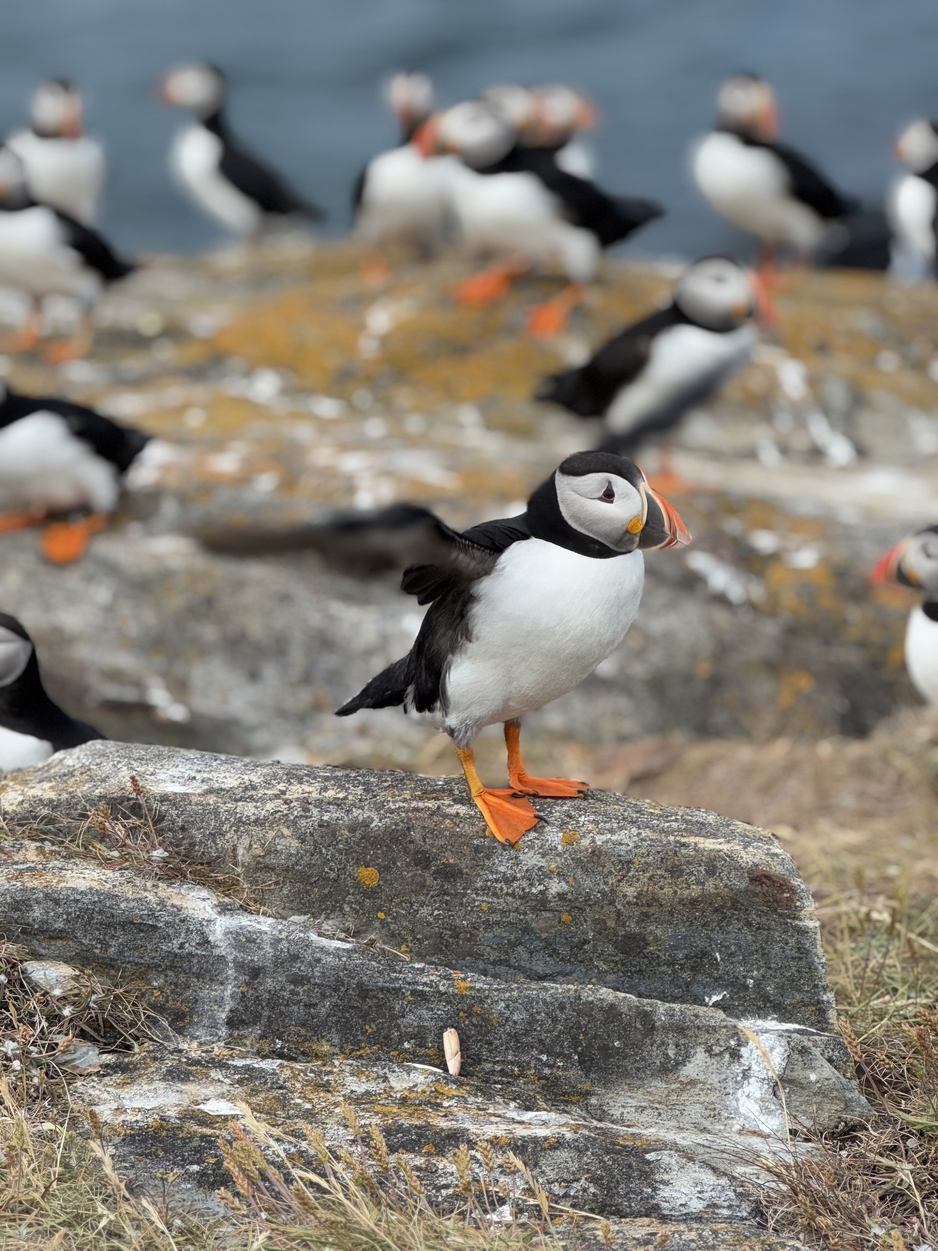 Main Gallery Display