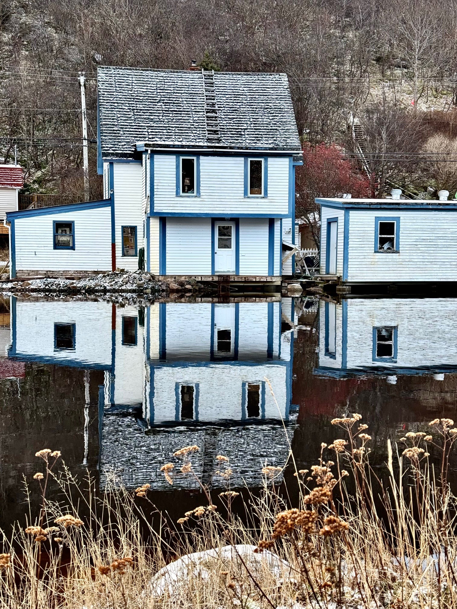 Main Gallery Display