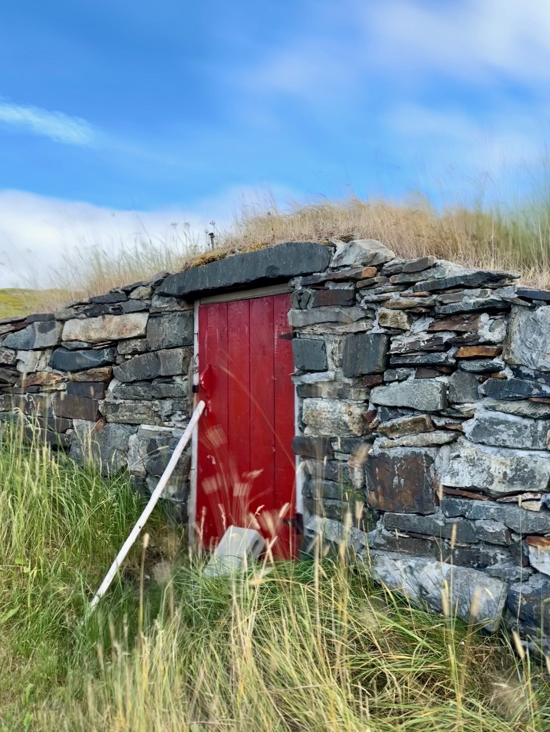 Main Gallery Display