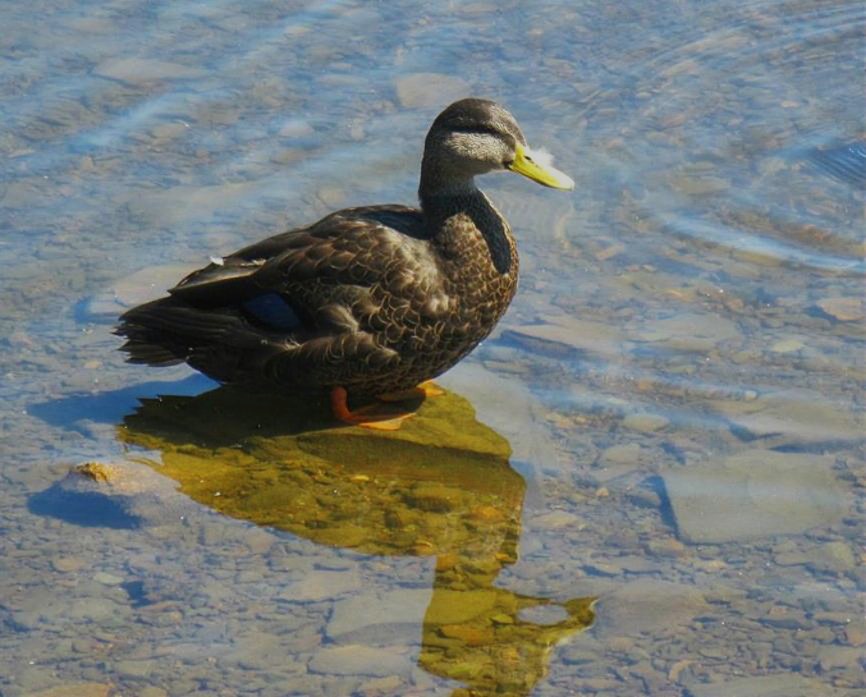 Main Gallery Display